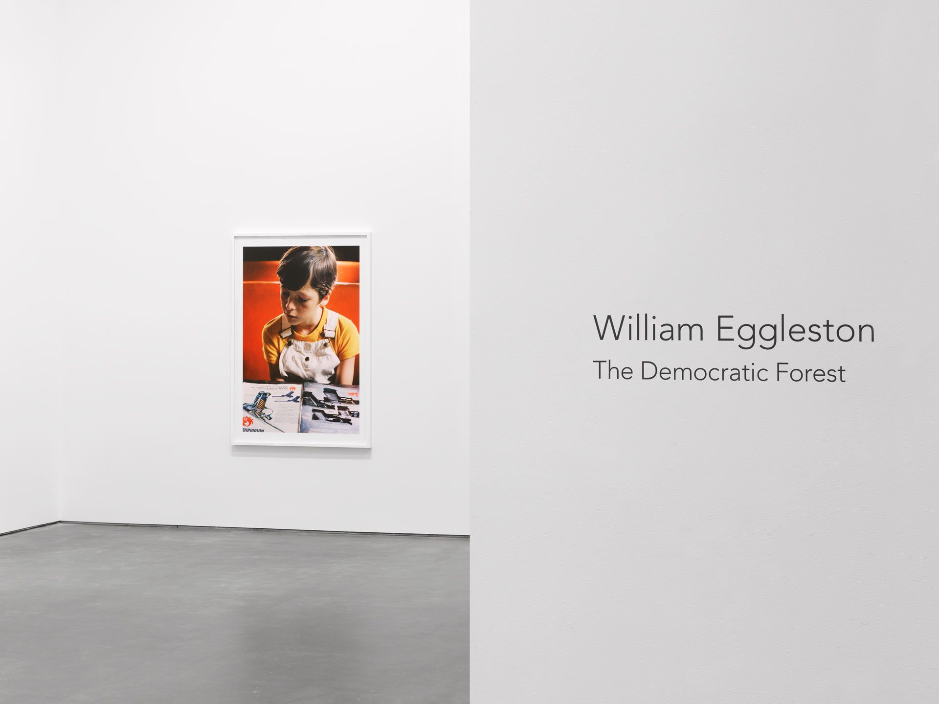 William Eggleston: The Democratic Forest | David Zwirner
