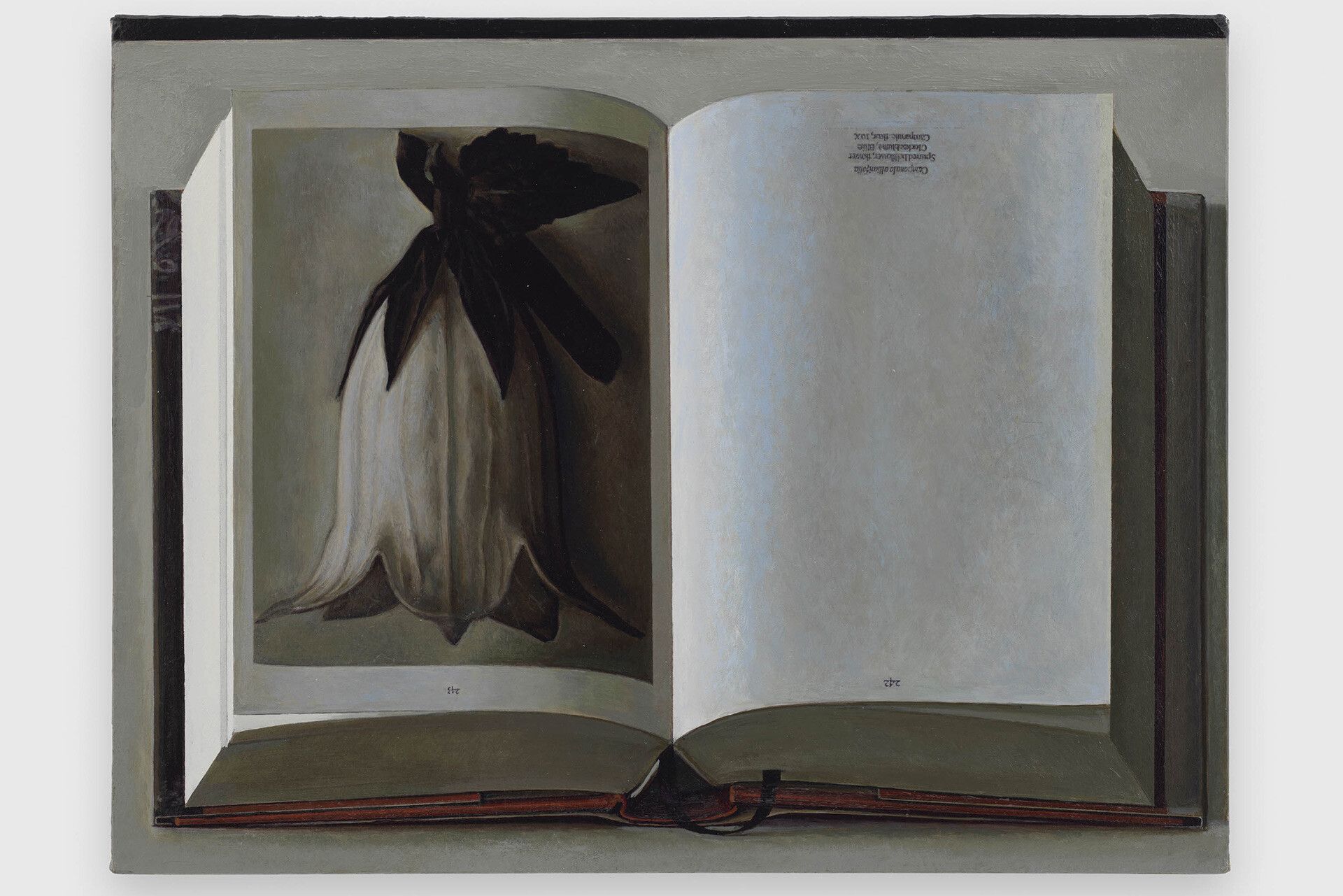 A detail from a painting by Liu Ye, titled Book Painting No. 21 (Karl Blossfeldt, The Complete Published Work, Taschen GMBH, 2017), dated 2018.