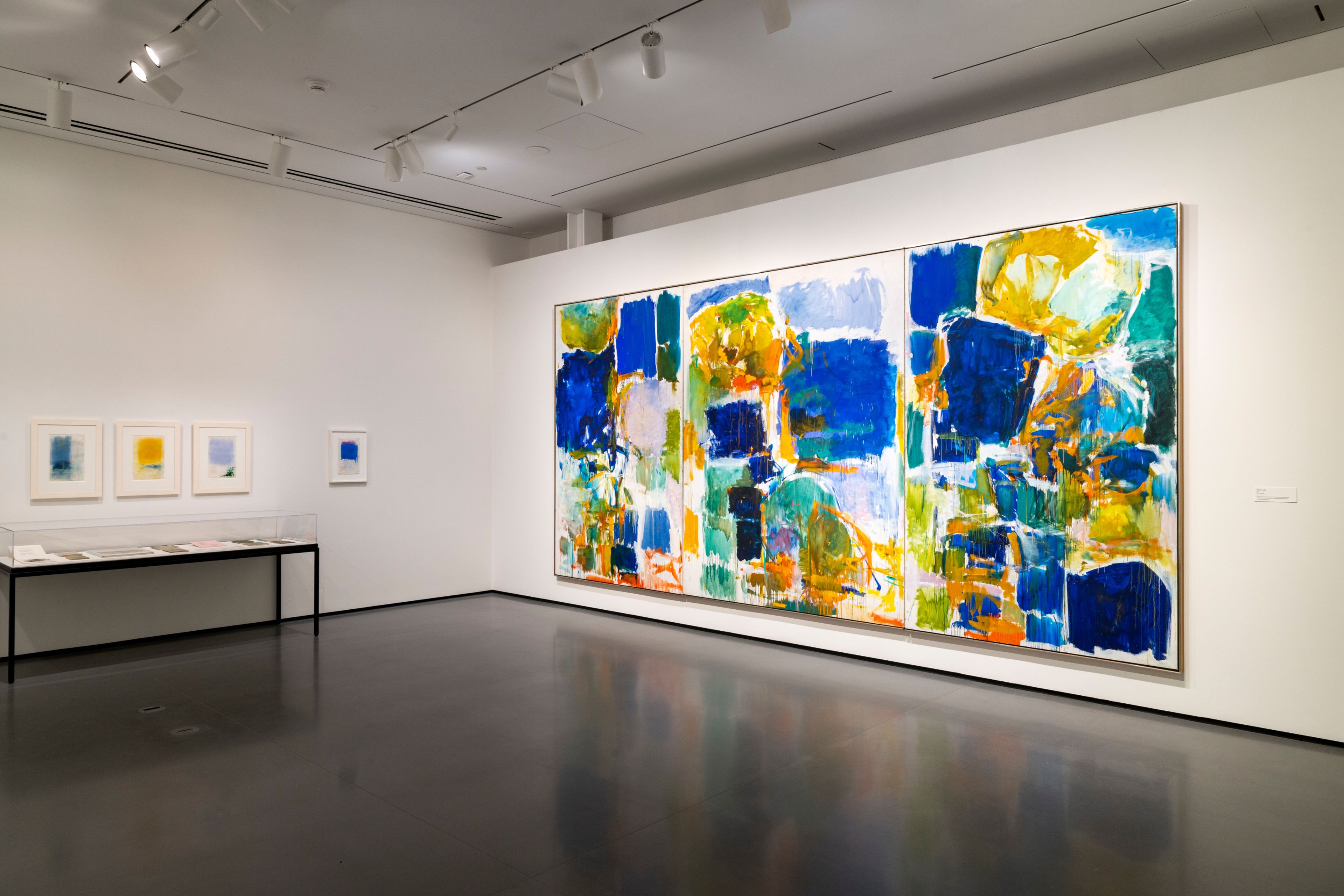 Installation view of the exhibition, Joan Mitchell, at Baltimore Museum of Art in Baltimore, dated 2022.