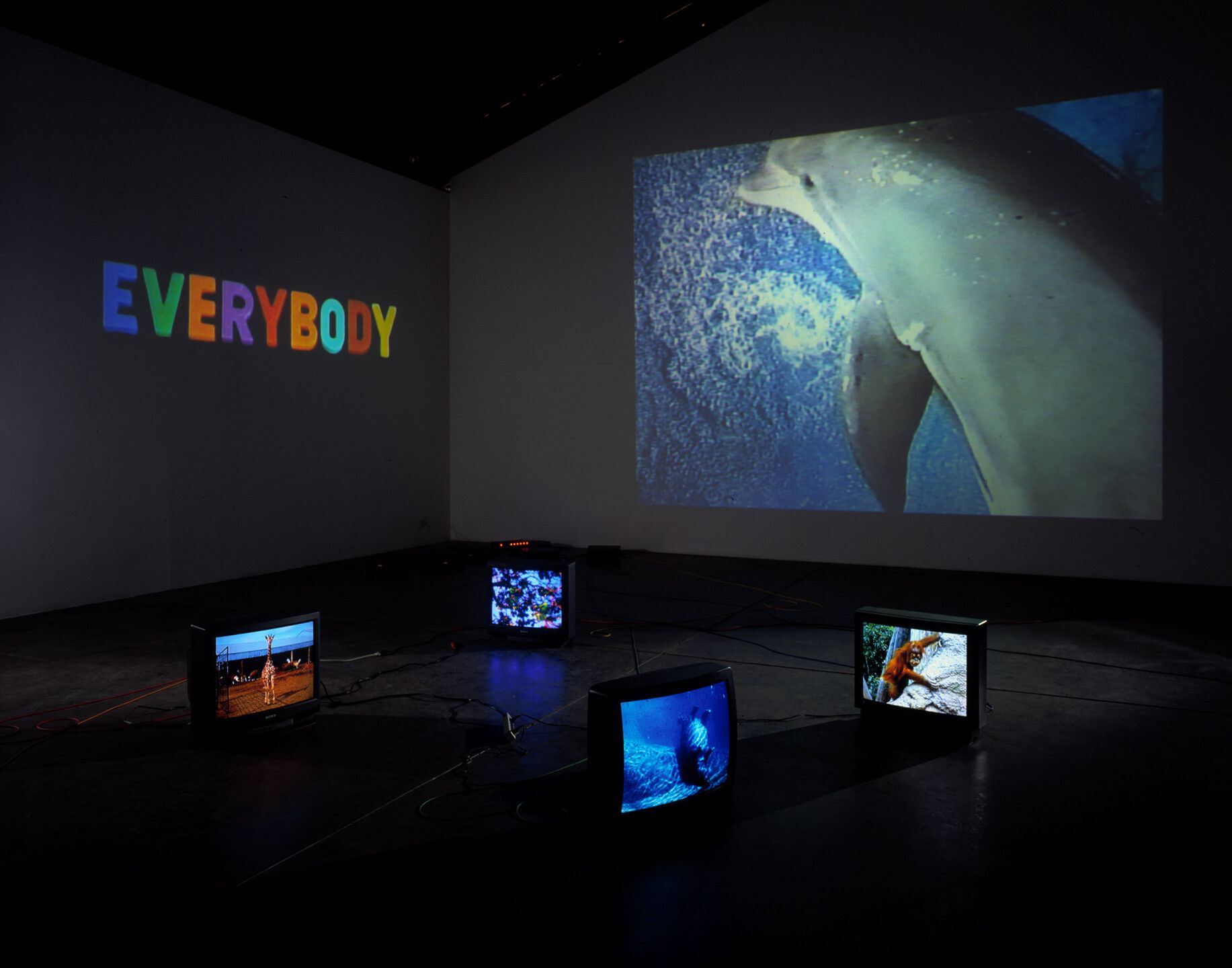  An installation for 2 projectors, 4 monitors, and 6 media players by Diana Thater, titled The Caucus Race, dated 1998.