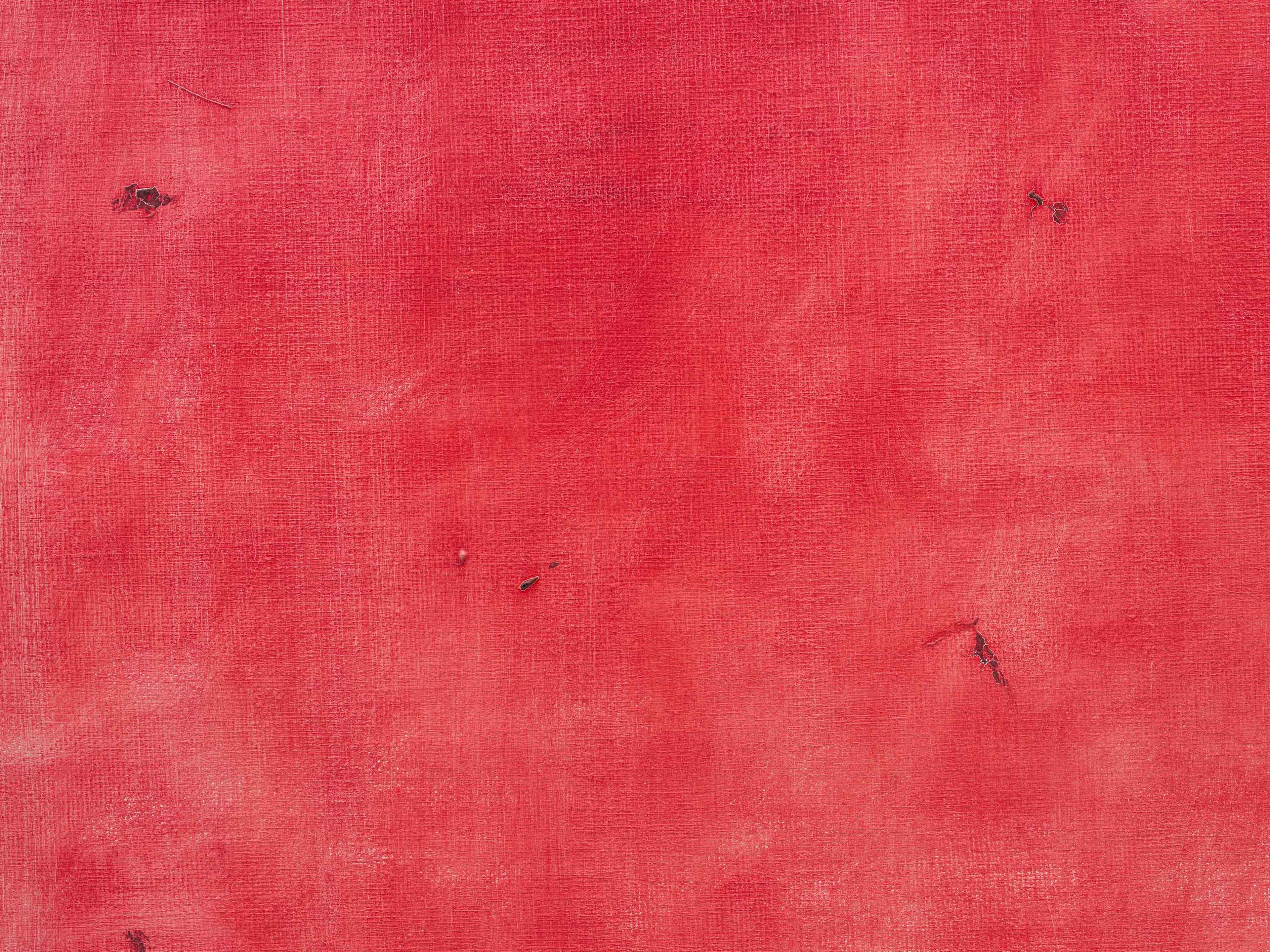 A detail of a painting by Raoul De Keyser, titled Avondrood, dated 1992.