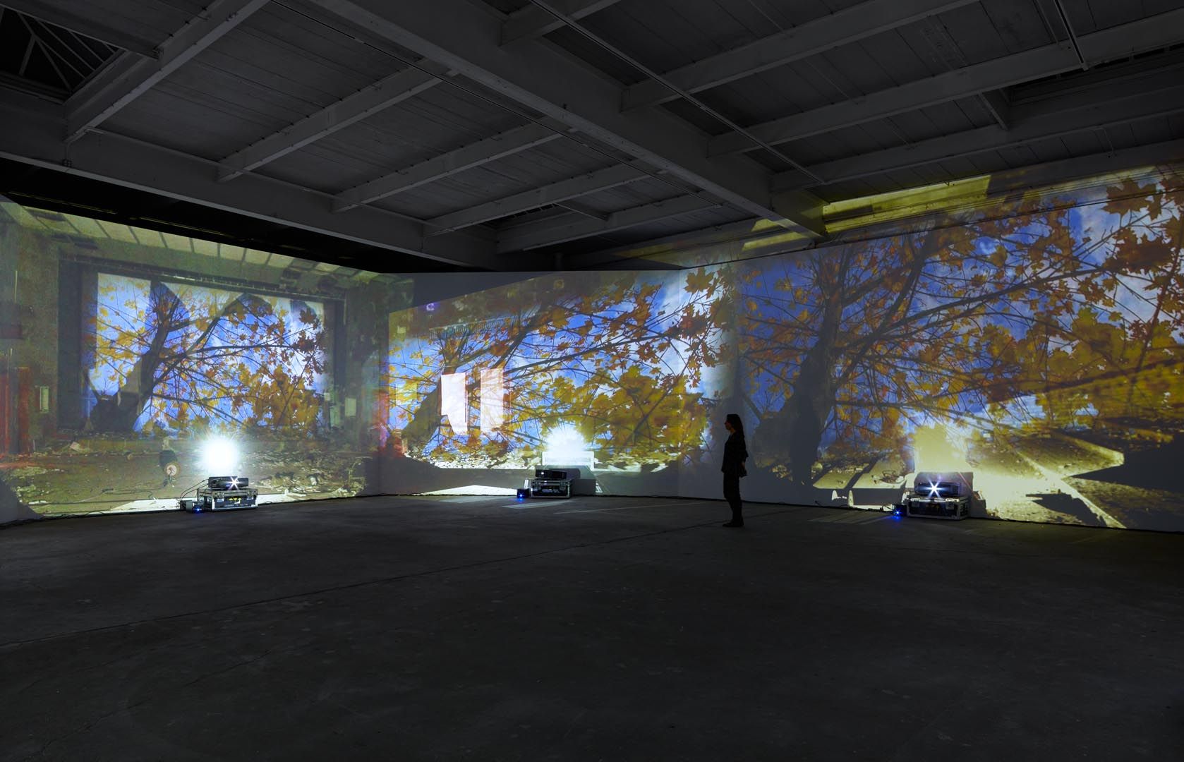 Installation view of the exhibition Diana Thater: Chernobyl, at David Zwirner in New York, dated 2012.