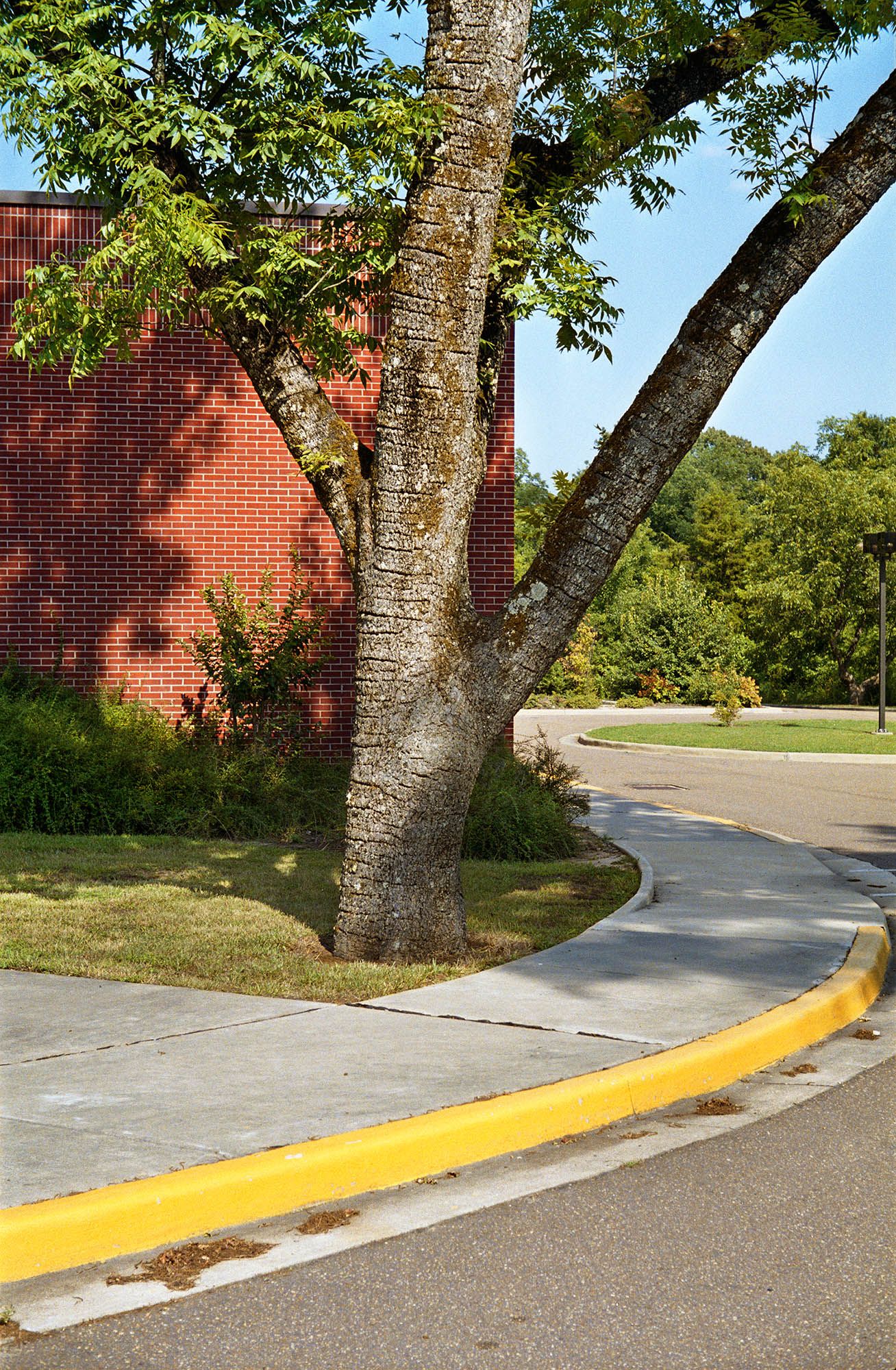 An untitled photograph by William Eggleston, circa 1983 to 1986.