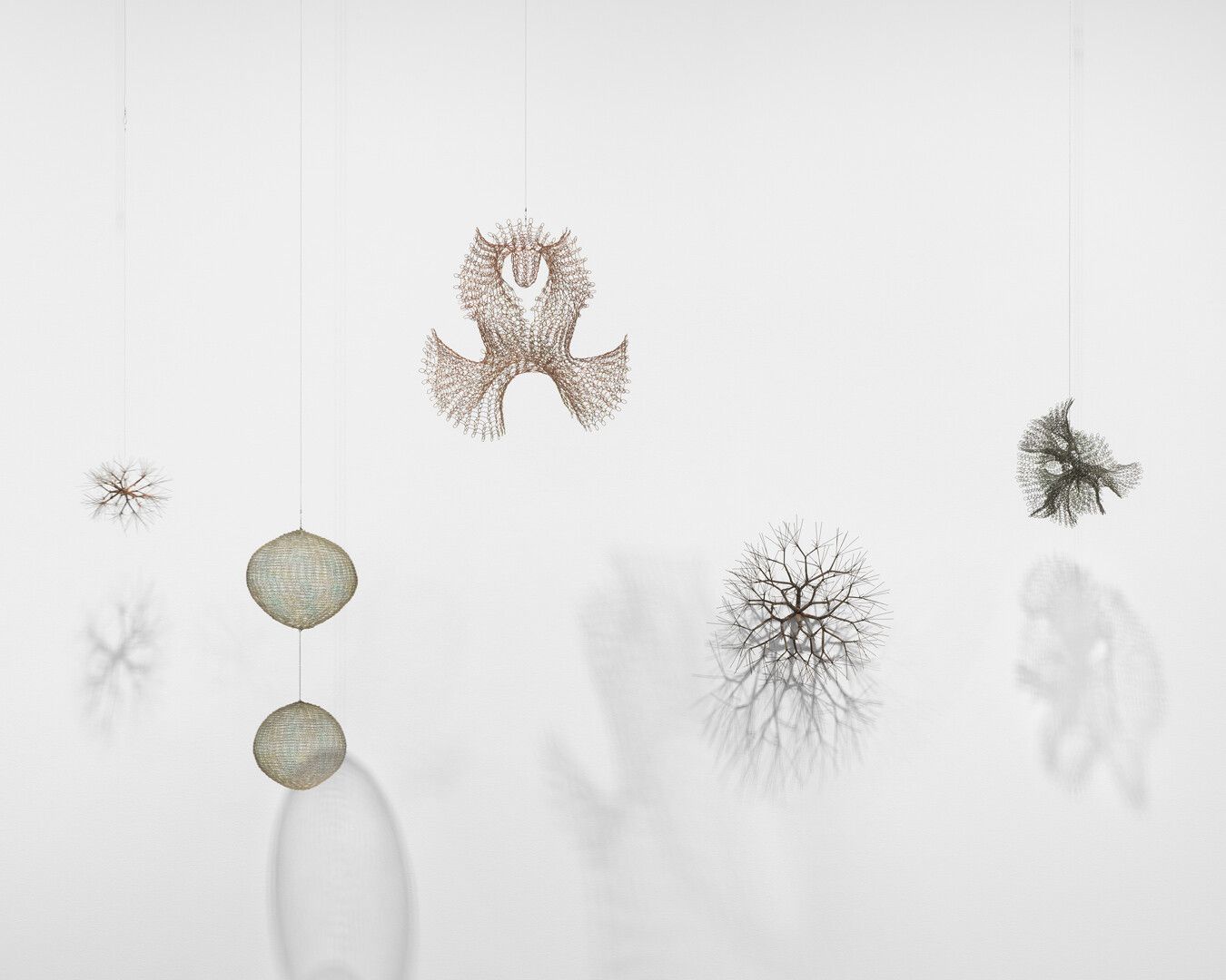 An installation view of the exhibition Ruth Asawa: Drawing in Space, at David Zwirner in New York, 2020.