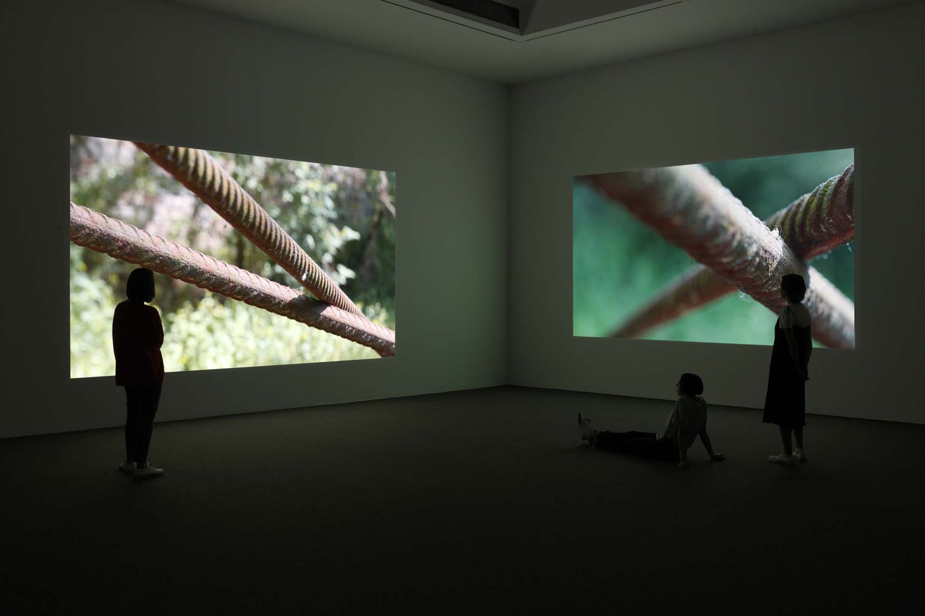 Installation view of the exhibition Wolfgang Tillmans: How likely is it that only I am right in this matter?, at David Zwirner in New York, dated 2018.