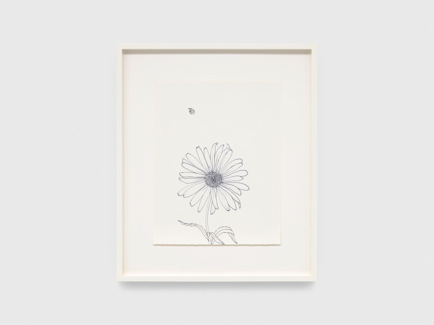 An ink drawing on paper by Ruth Asawa, titled Untitled (PF.1042, Shasta Daisy Stem), dated 1991.