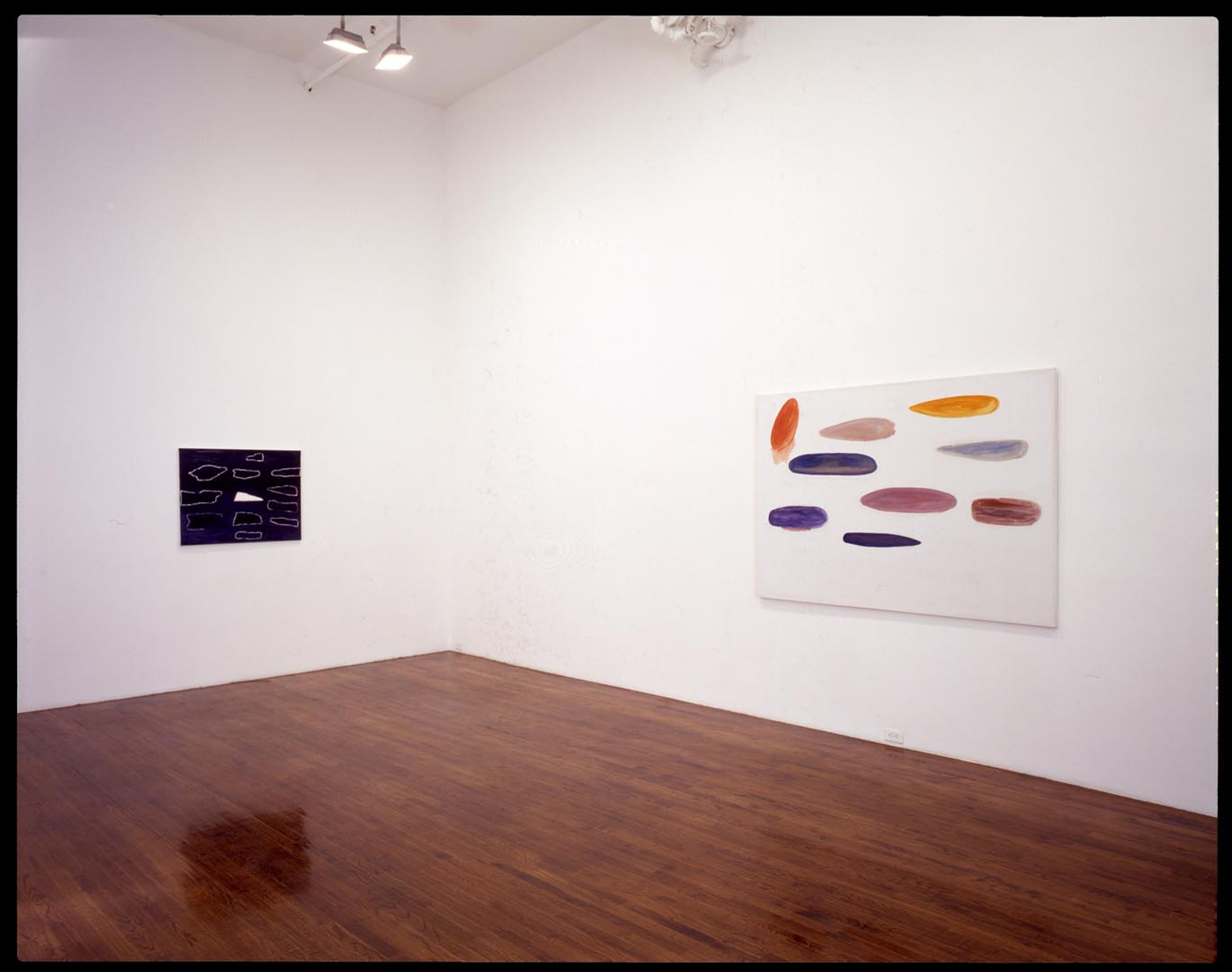 An installation view of the exhibition Raoul de Keyser: Come on, play it again, at David Zwirner New York, dated 2001.