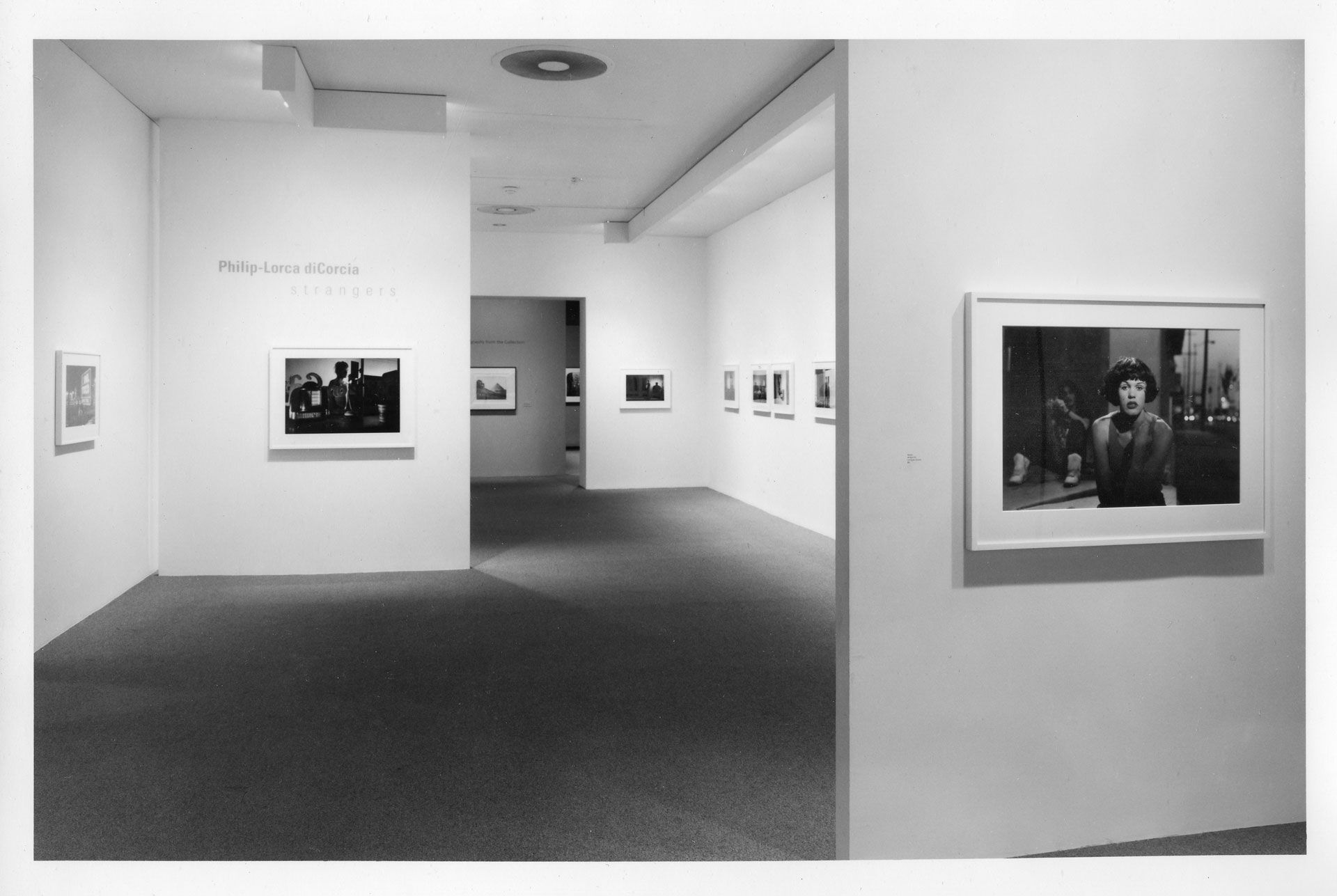 MoMA installation