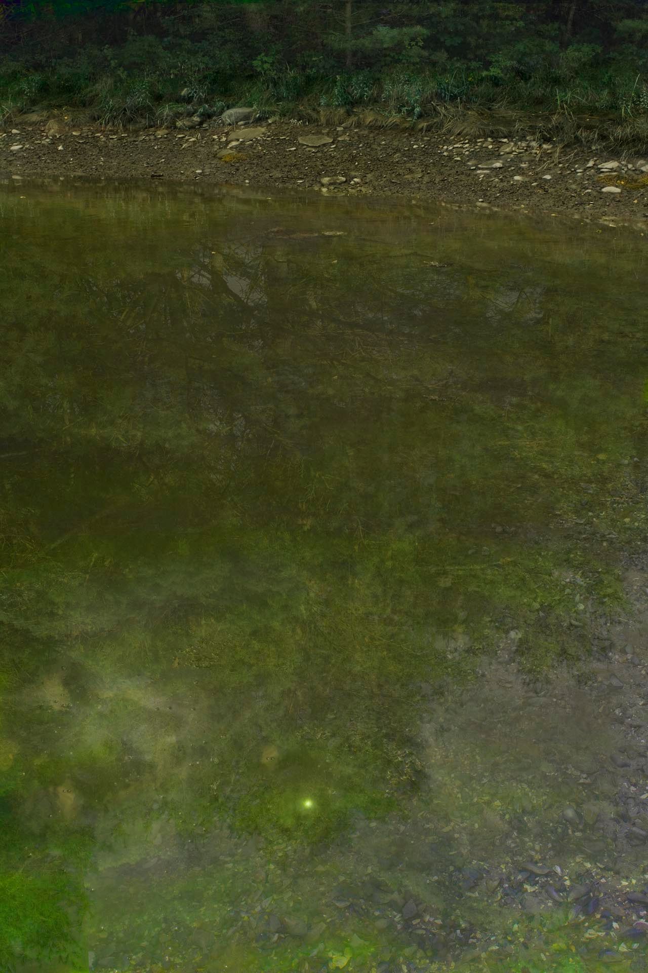 A photograph by James Welling, titled River Cove, dated 2010. 
