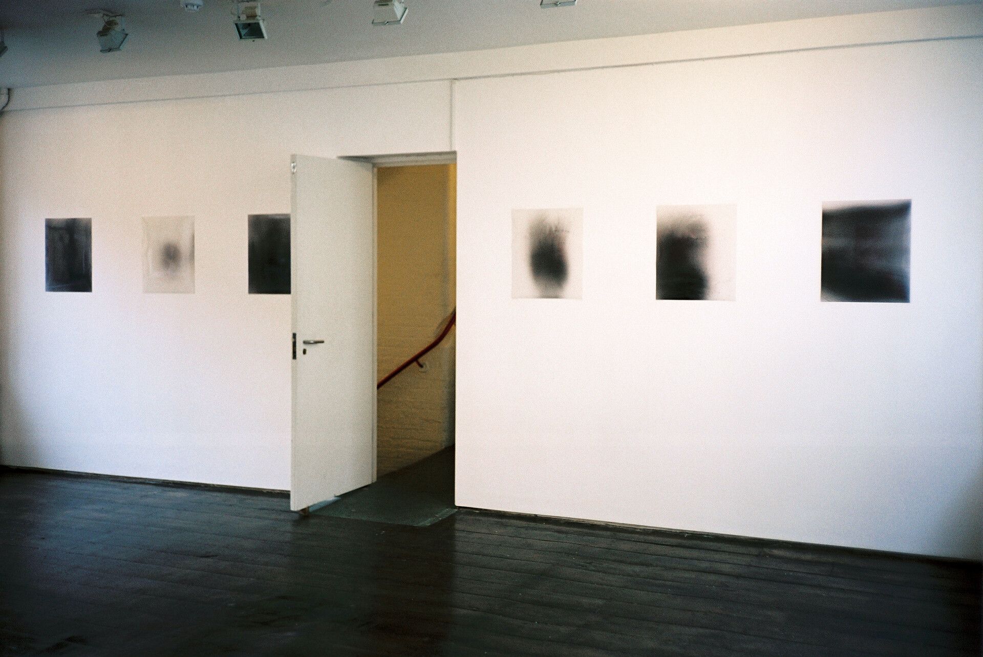 An installation view featuring photographs by Wolfgang Tillmans, dated 2000
