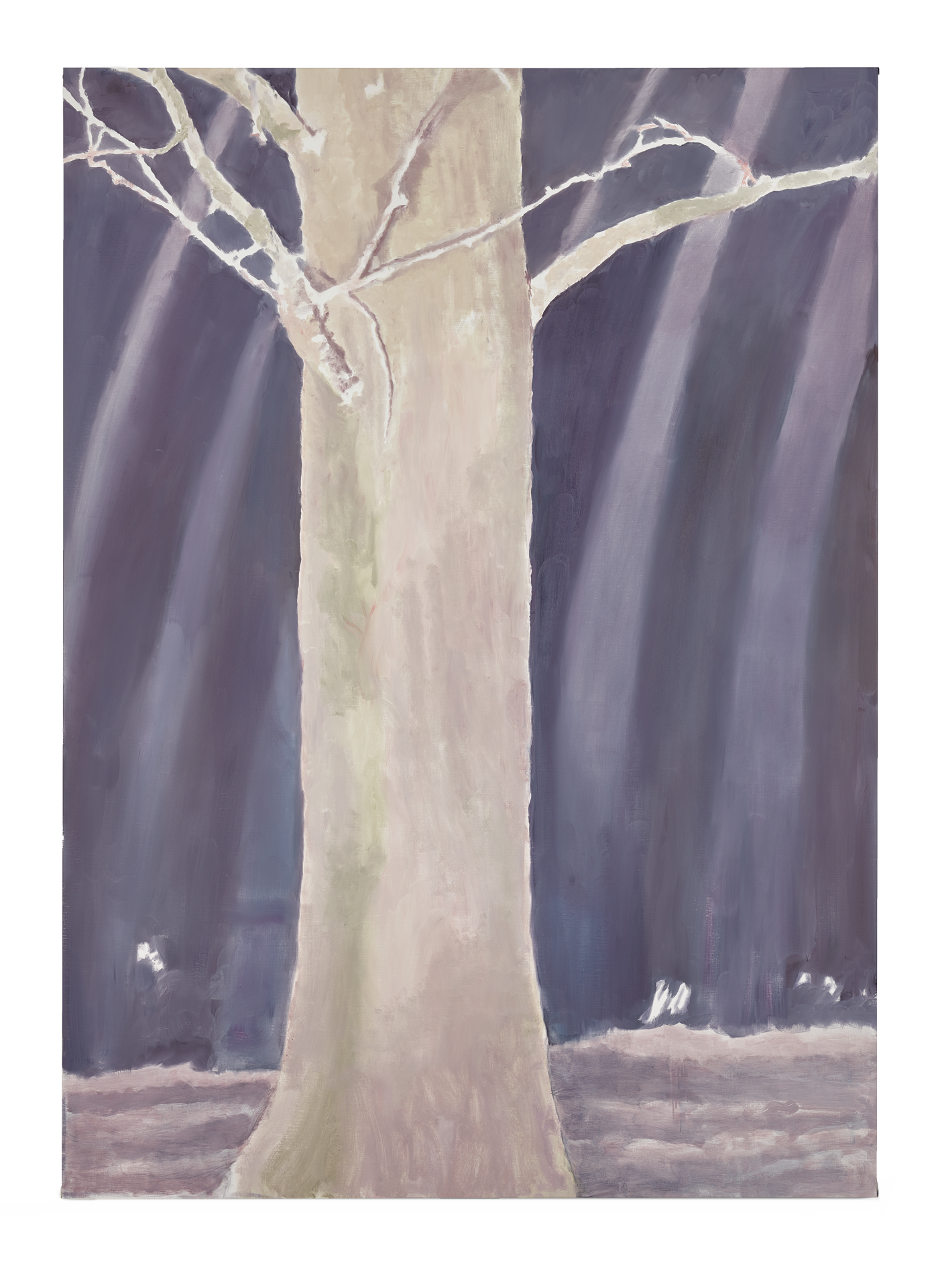 A painting by Luc Tuymans titled Tree, dated 2019.