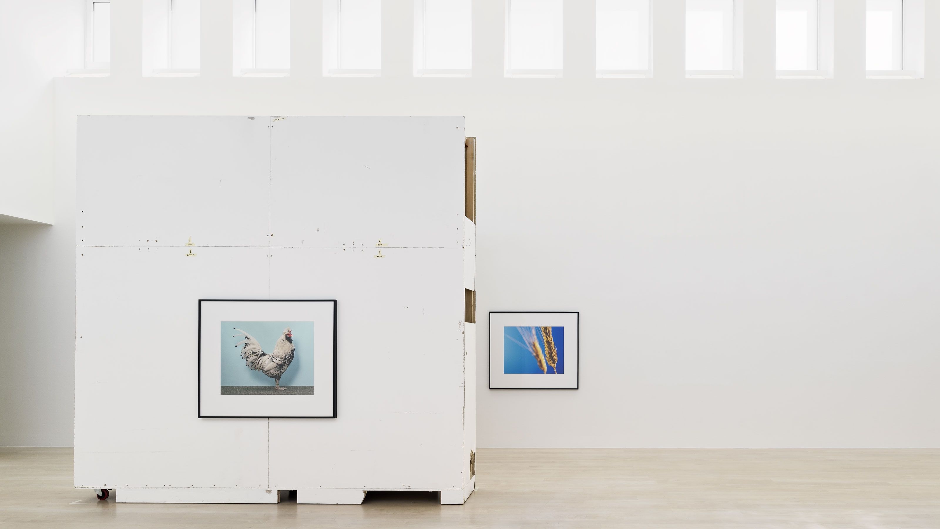Christopher Williams: Normative Models | David Zwirner