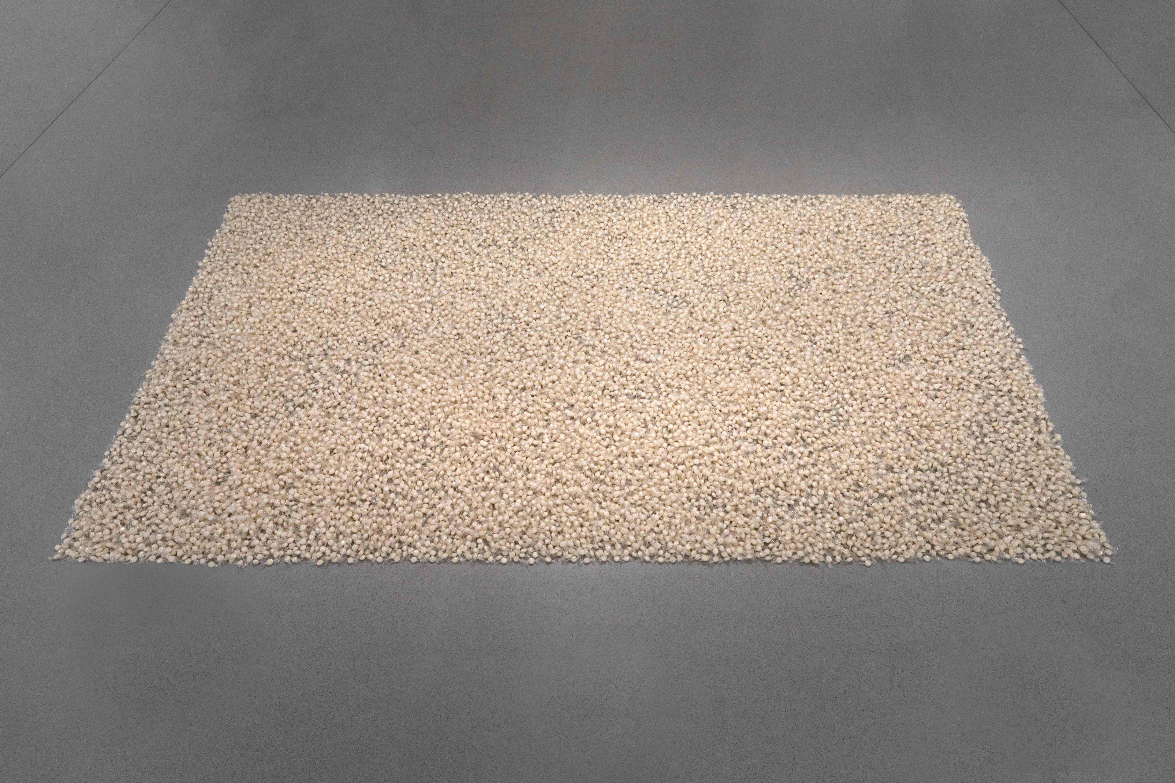 Installation view of Felix Gonzalez Torres in Minimal at the Bourse de Commerce – Pinault Collection located in Paris, France, dated 2025.