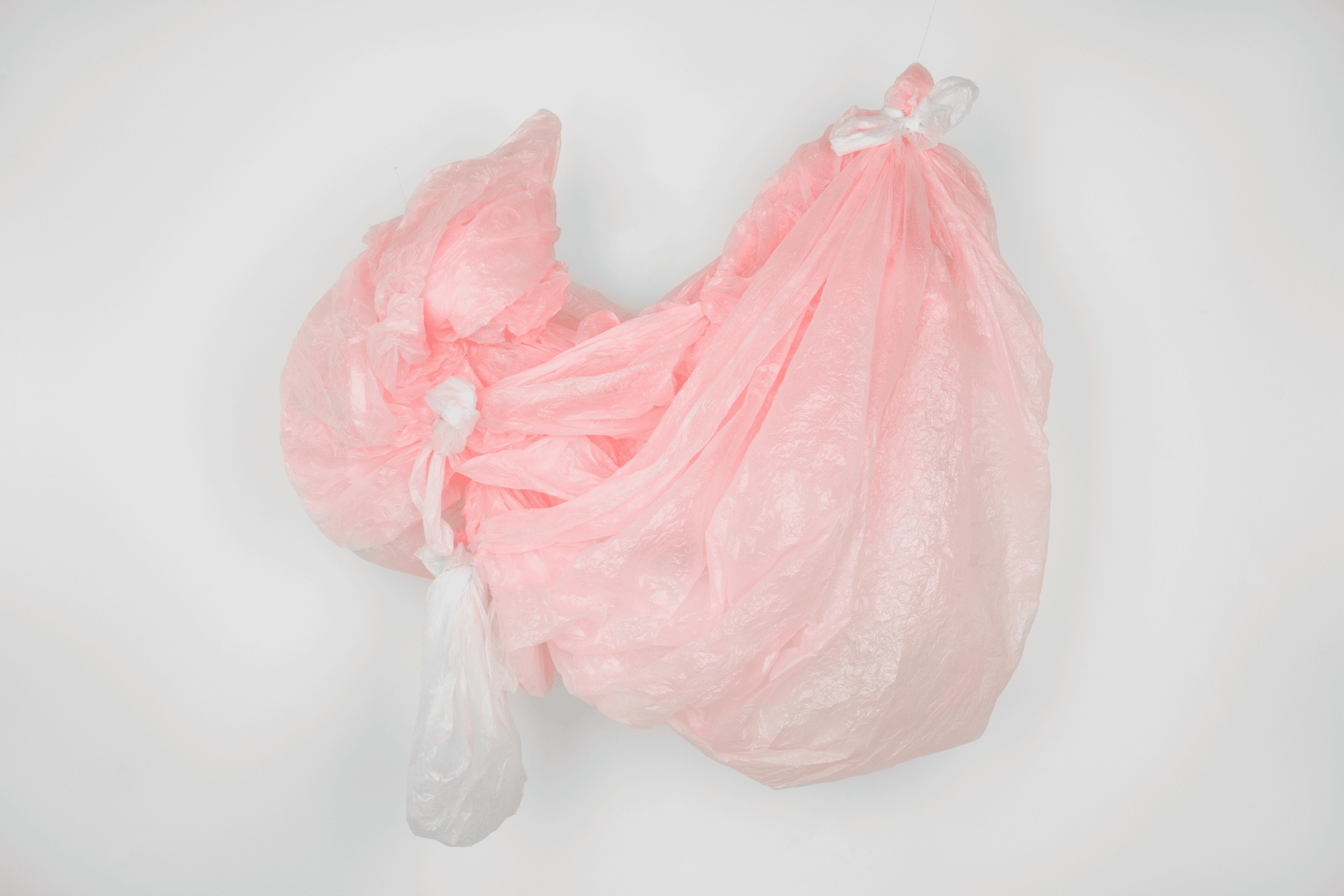 A sculpture by Karla Black titled Appears Alongside dated 2015 