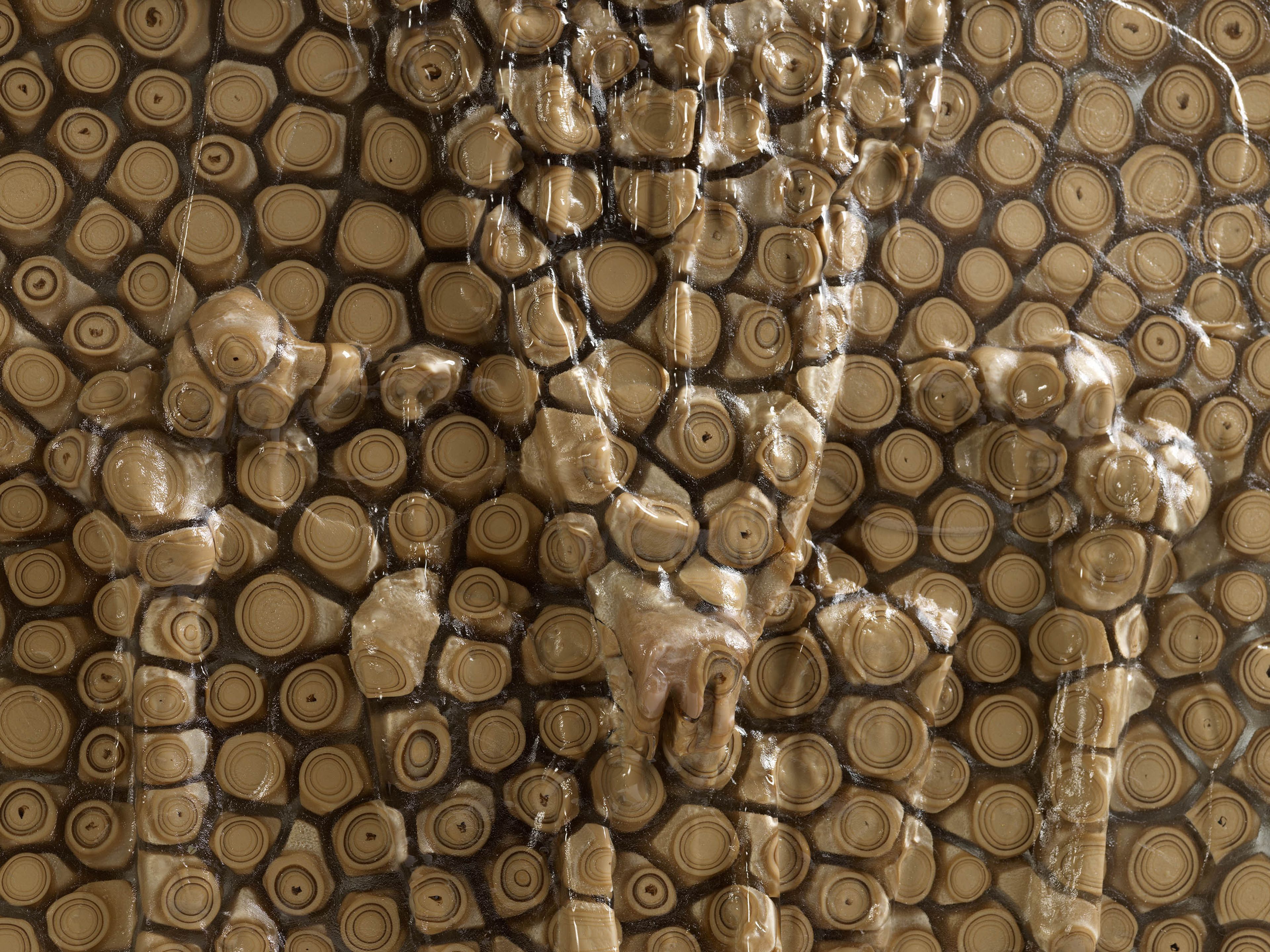 A detail from a sculpture by Andra Ursuta, titled Private Dancer (Foreskin Mince), dated 2025