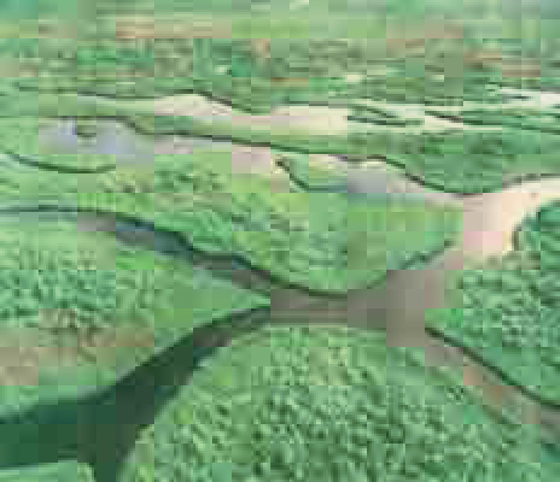 A photograph by Thomas Ruff, titled jpeg ev01, dated 2004.