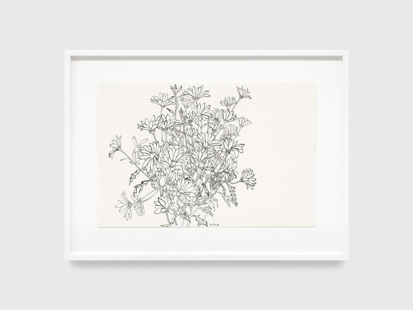 An ink drawing on paper by Ruth Asawa, titled Untitled (PF.150, Daisies), dated 1989.