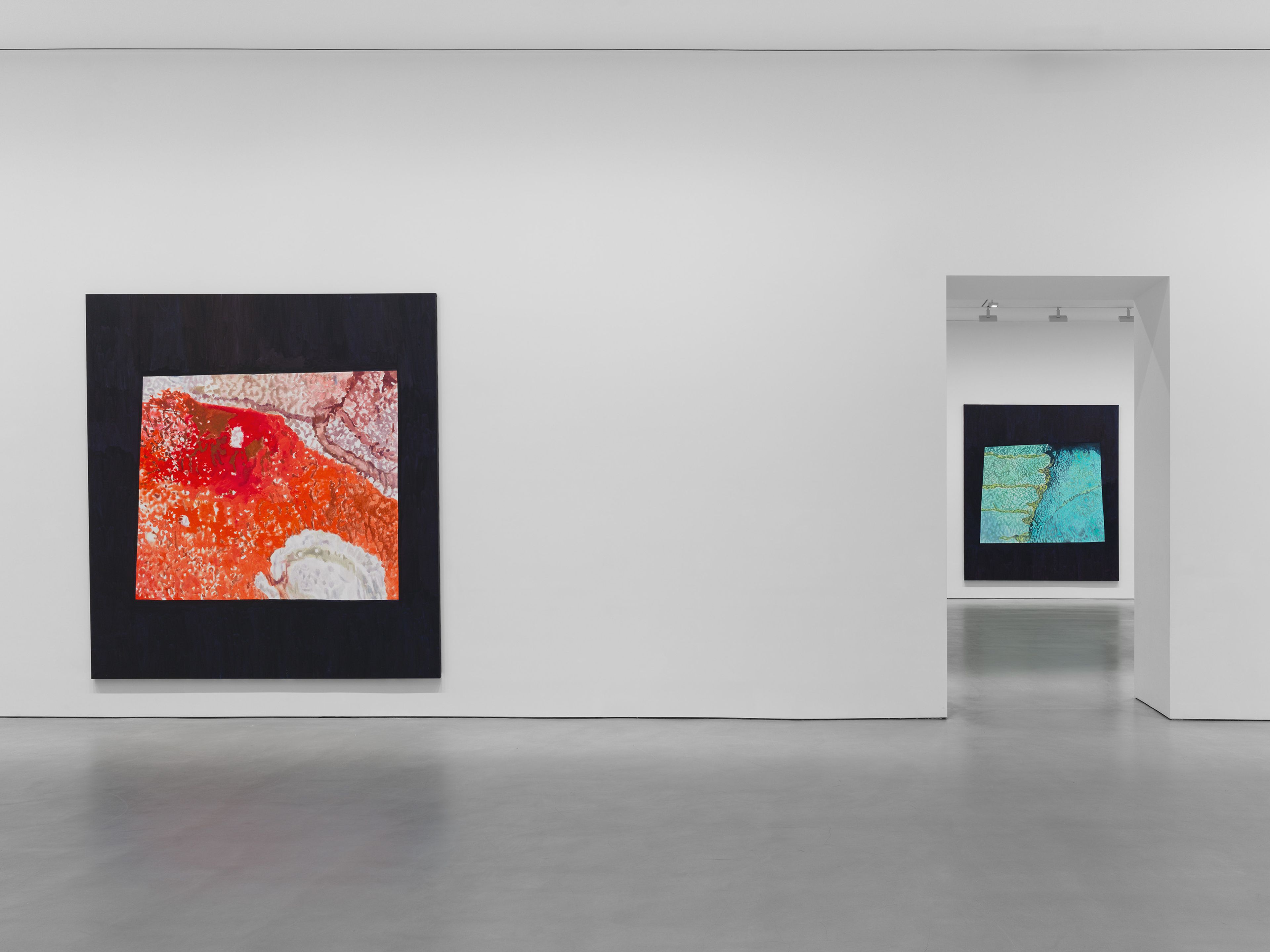 An installation view of the exhibition, Luc Tuymans: The Fruit Basket, at David Zwirner in New York, dated 2025.