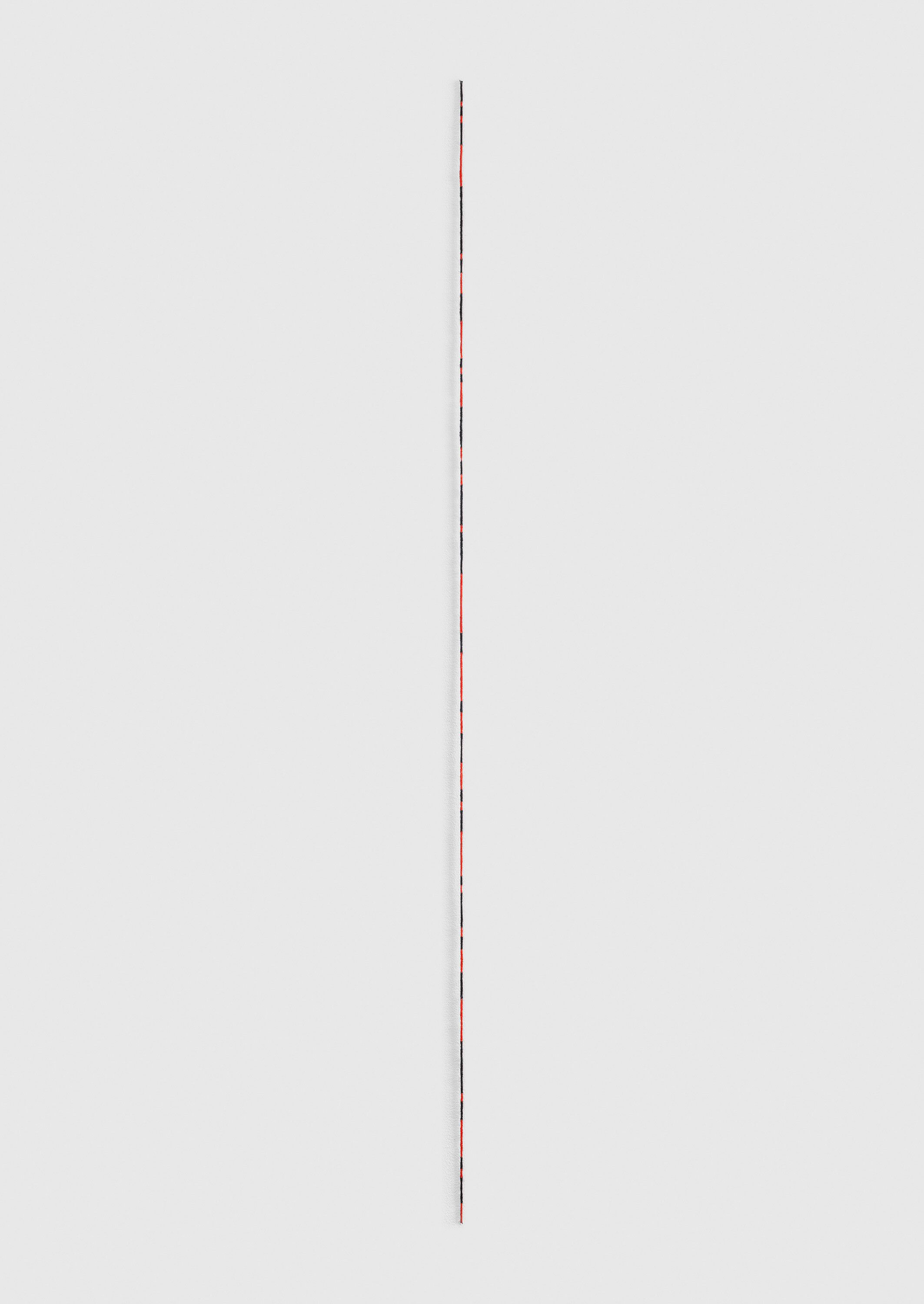 A sculpture by Fred Sandback, titled Untitled (Broken Line, Vertical Wall Construction), dated 1994.