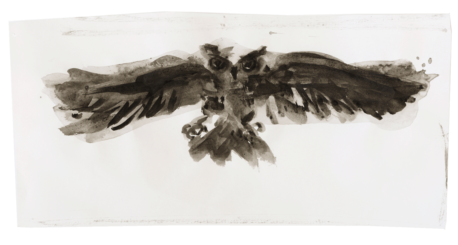 A drawing by Marlene Dumas, titled The owl in night flight, dated 2015 to 2016.