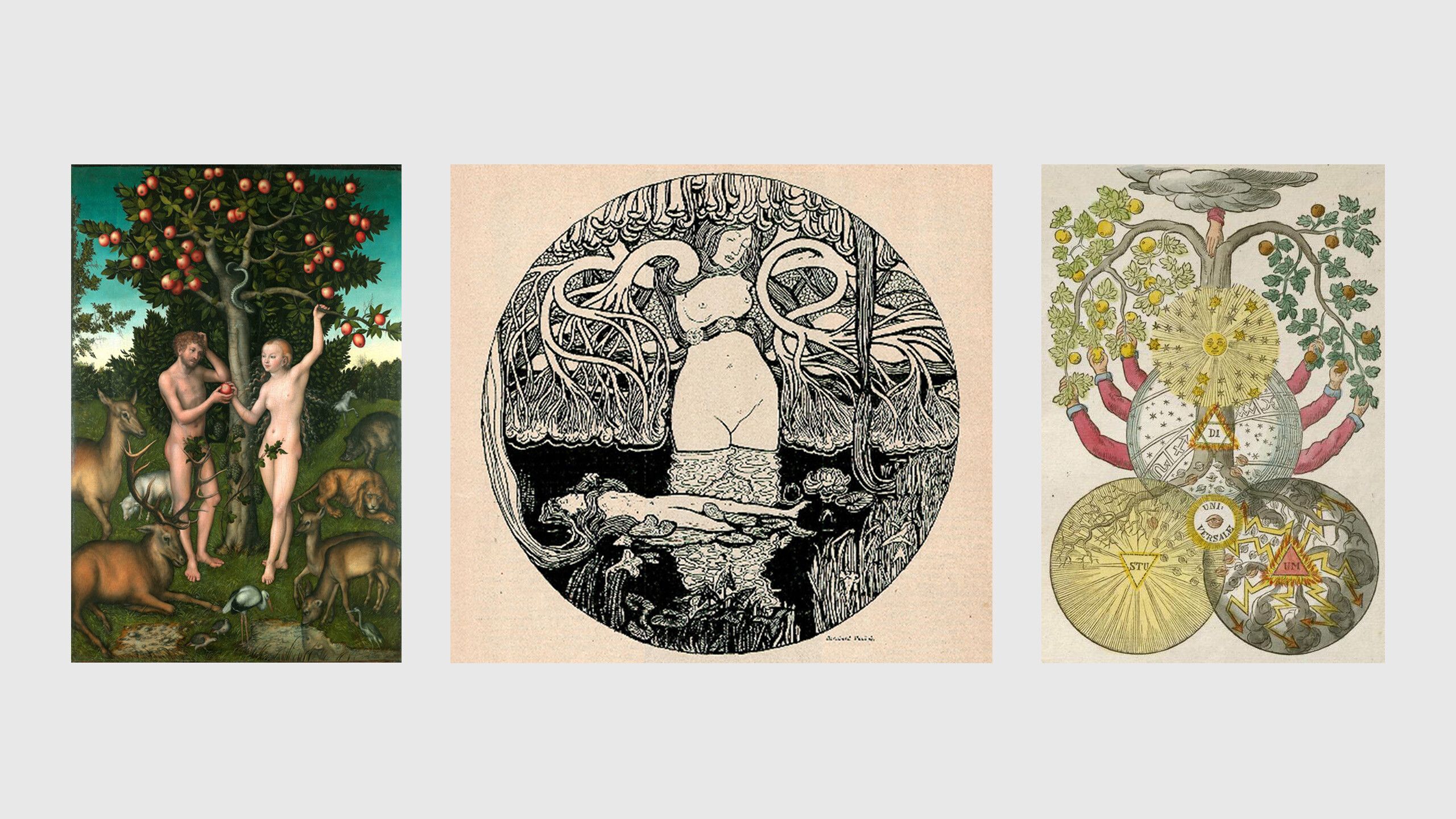 3 images, from left to right, Lucas Cranach the Elder, Adam and Eve, 1526 (detail); an Illustration by Bernhard Pankok, titled Jugend, dated 1896; A Page from “Secret Symbols of the Rosicrucians of the 16th and 17th Centuries”, dated 1785–1788.