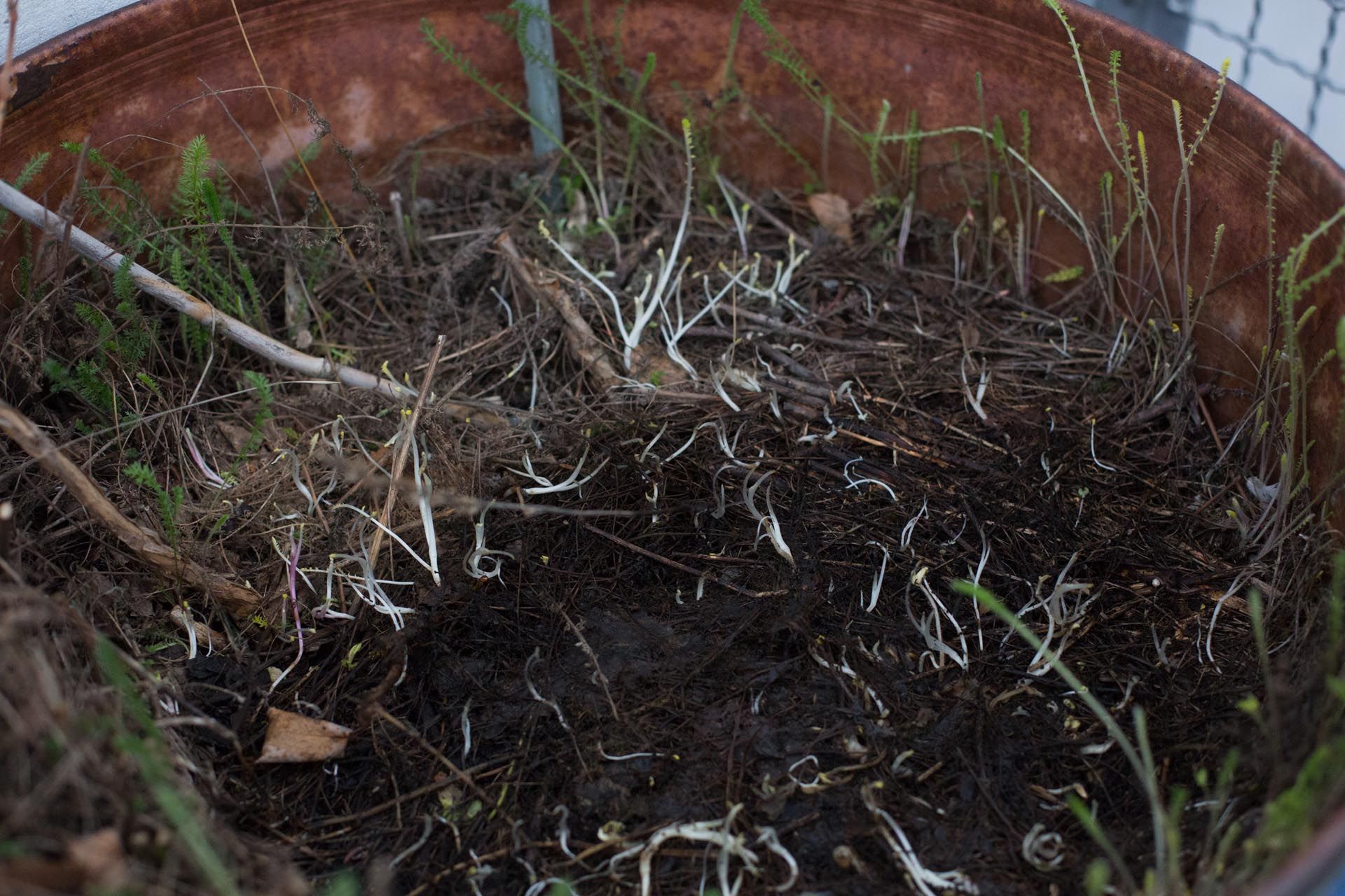 A photograph by Wolfgang Tillmans, titled encounter, dated 2014.