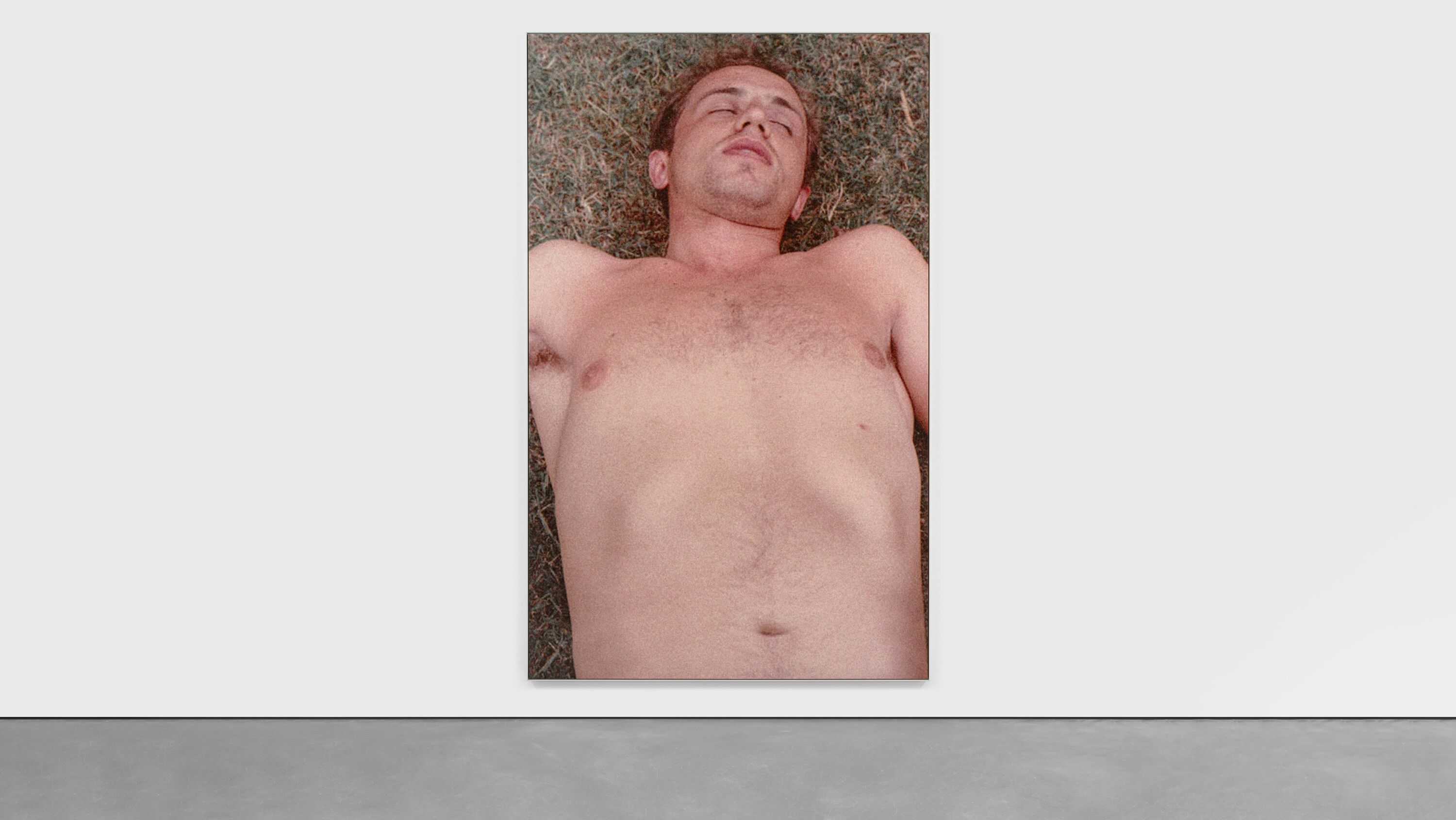 An installation view of an artwork by Steven Shearer, titled On Grass, dated 2024