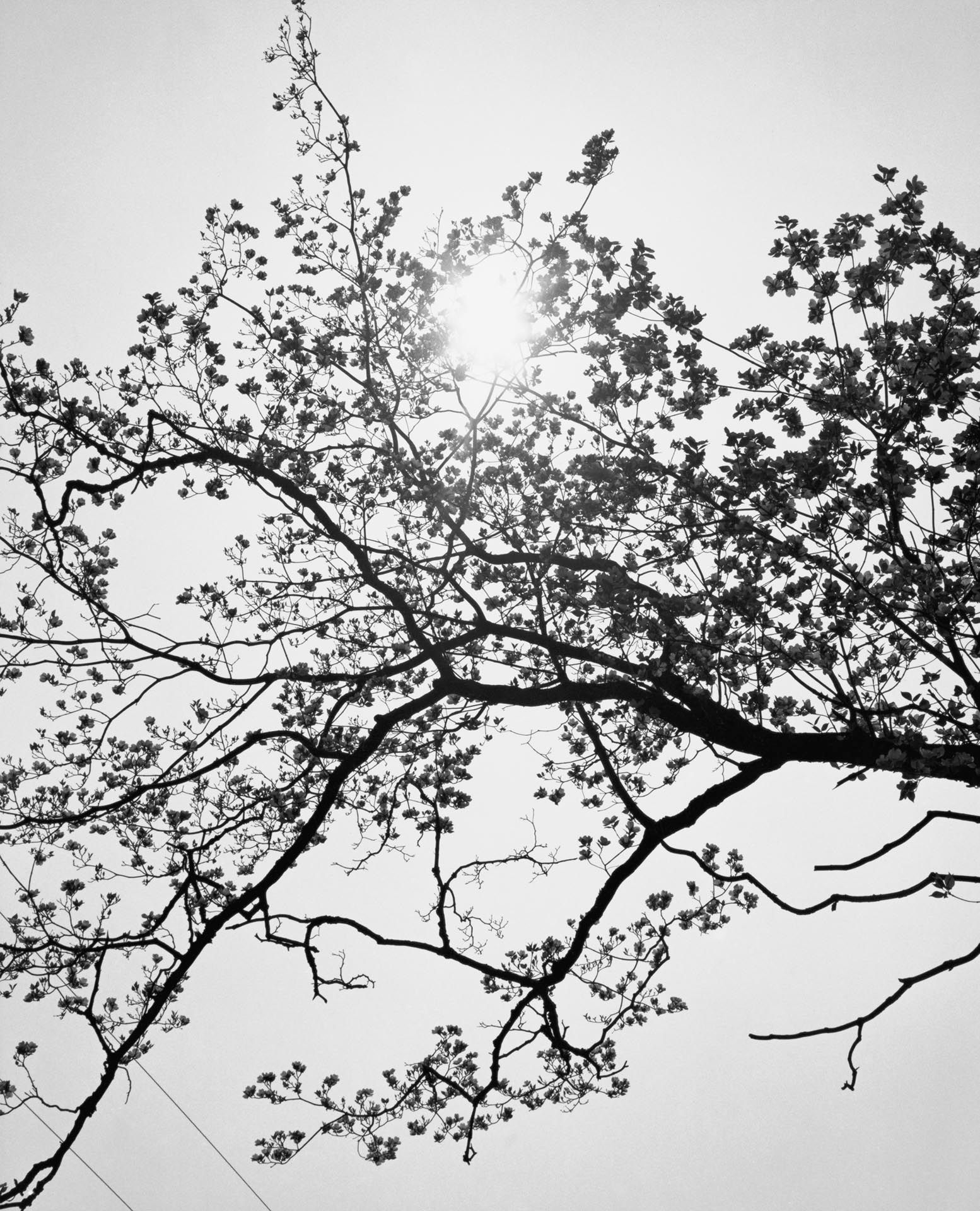 A photograph by James Welling, titled Meriden, dated 1992.