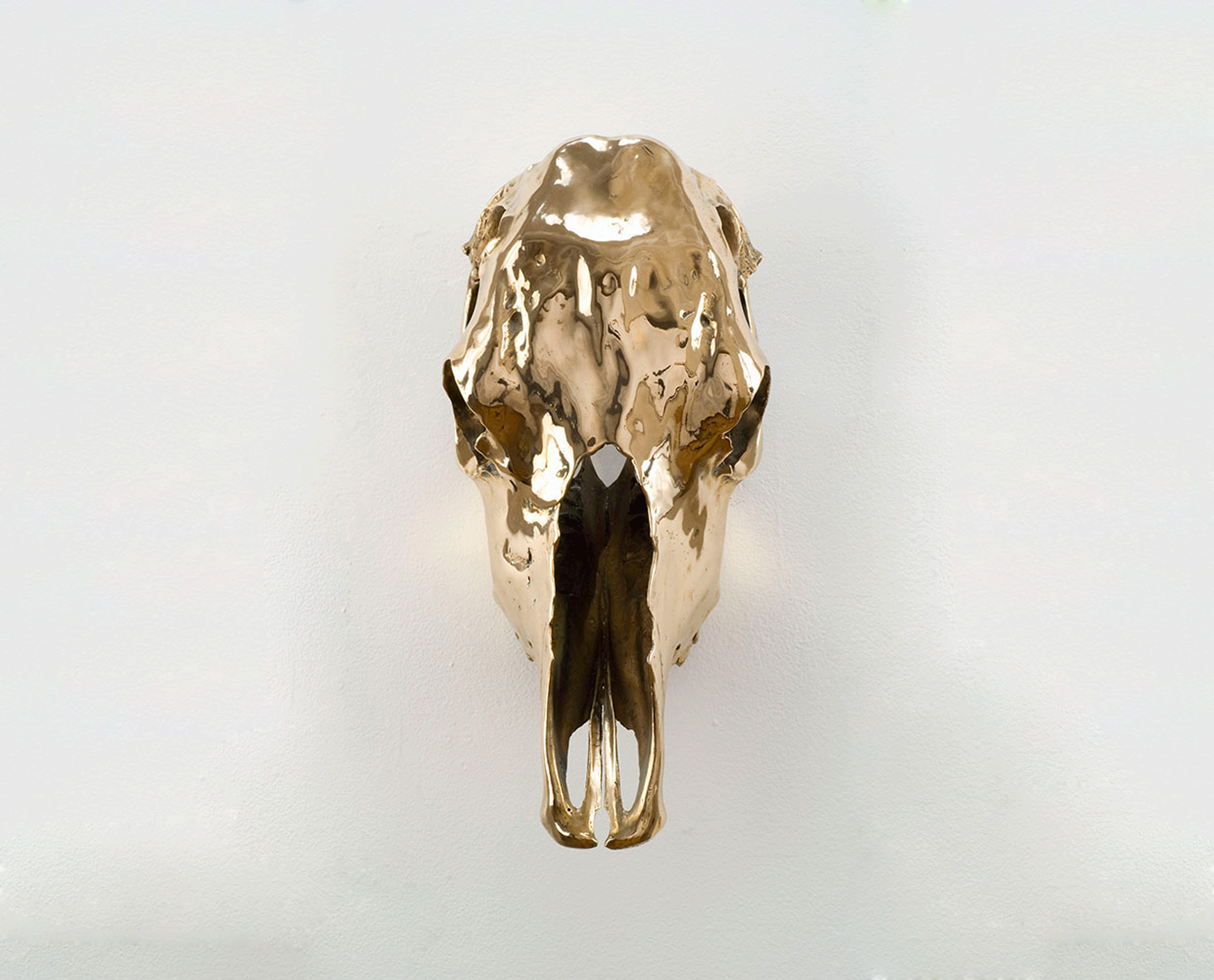 A sculpture by Sherrie Levine, titled, Unhorned Steer Skull, dated 2002.