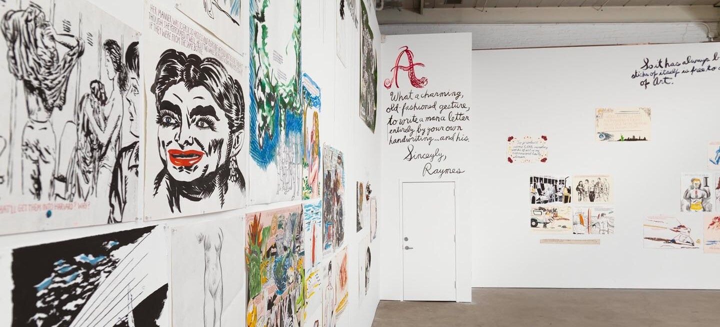 Installation view of the exhibition Raymond Pettibon: To Wit, at David Zwirner in New York, dated 2013.