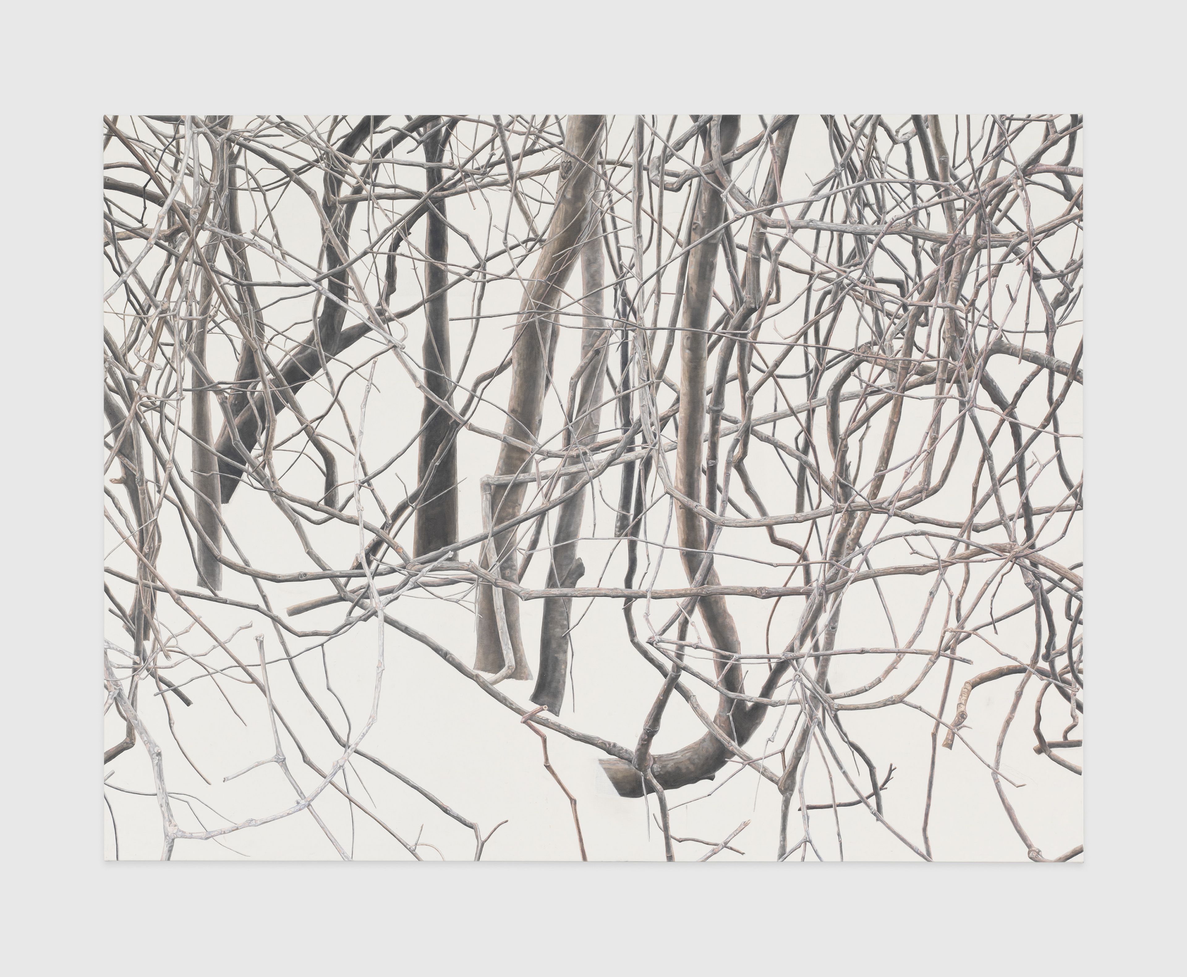 A painting by Toba Khedoori, titled Untitled (branches 1), dated 2011 to 2012.