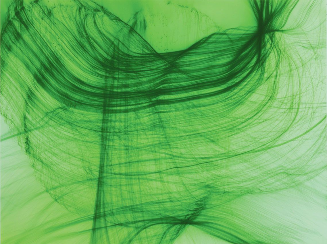 A photograph by Wolfgang Tillmans, titled Freischwimmer 1, dated 2003.