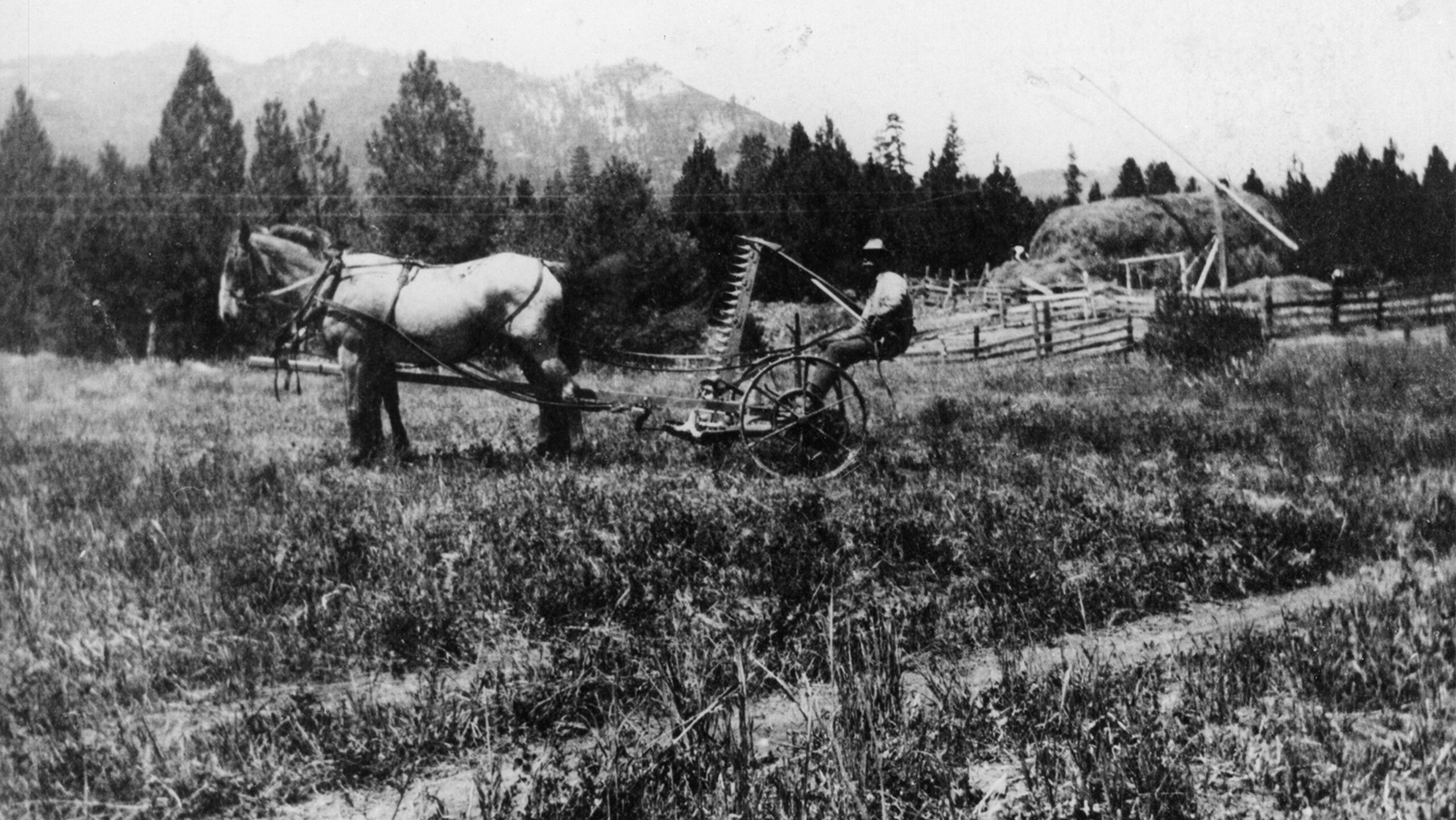 James Castle on a horse in Boise