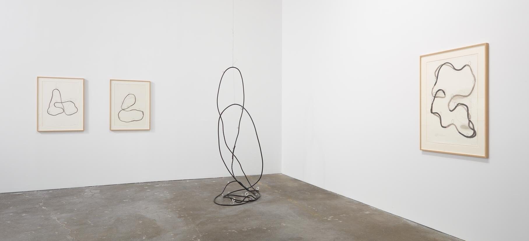 Installation view of the exhibition Al Taylor: Pass the Peas and Can Studys, at David Zwirner in New York, dated 2012.