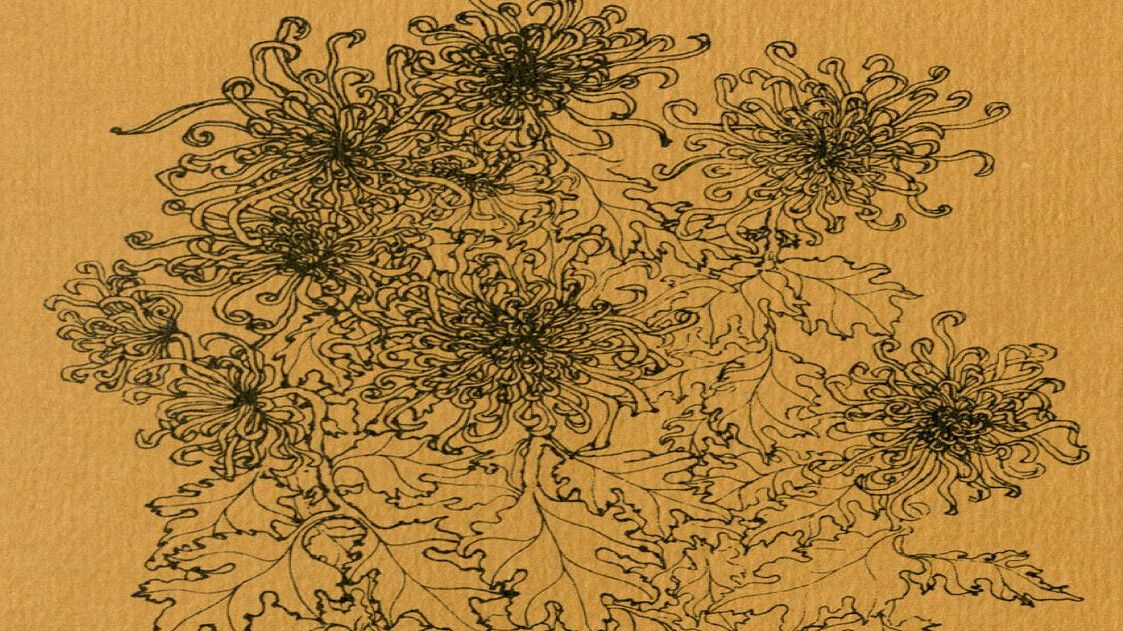 Detail of a Ruth Asawa print