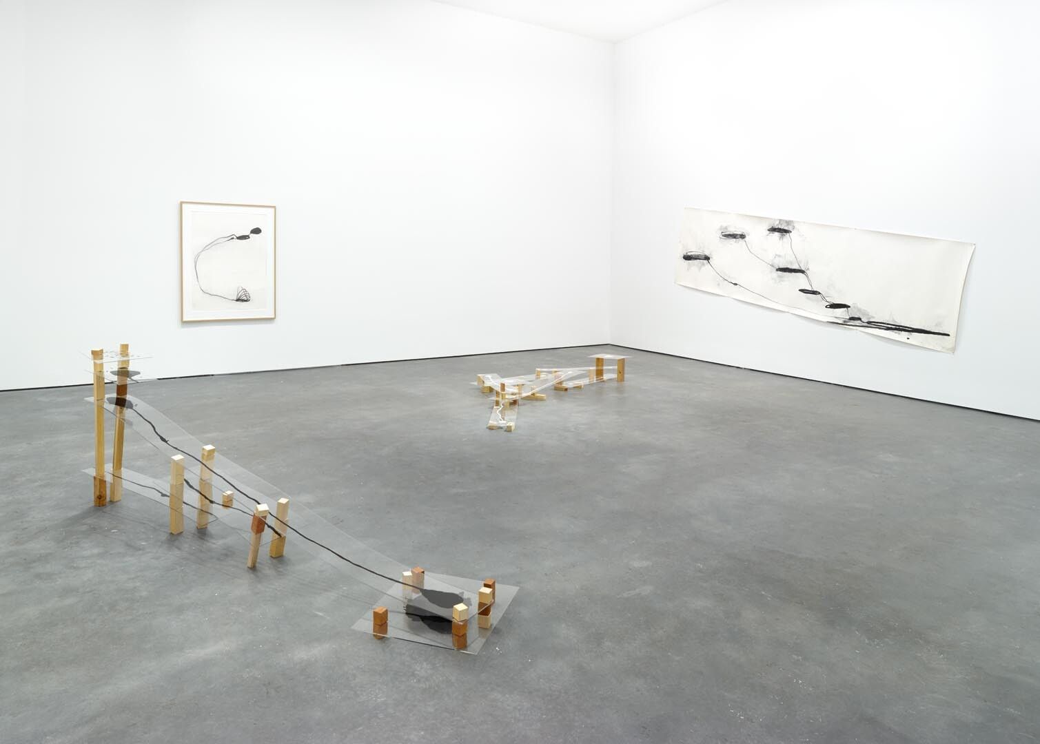 Installation view of the exhibition Al Taylor: Pet Stains, Puddles, and Full Gospel Neckless at David Zwirner in New York, dated 2015.