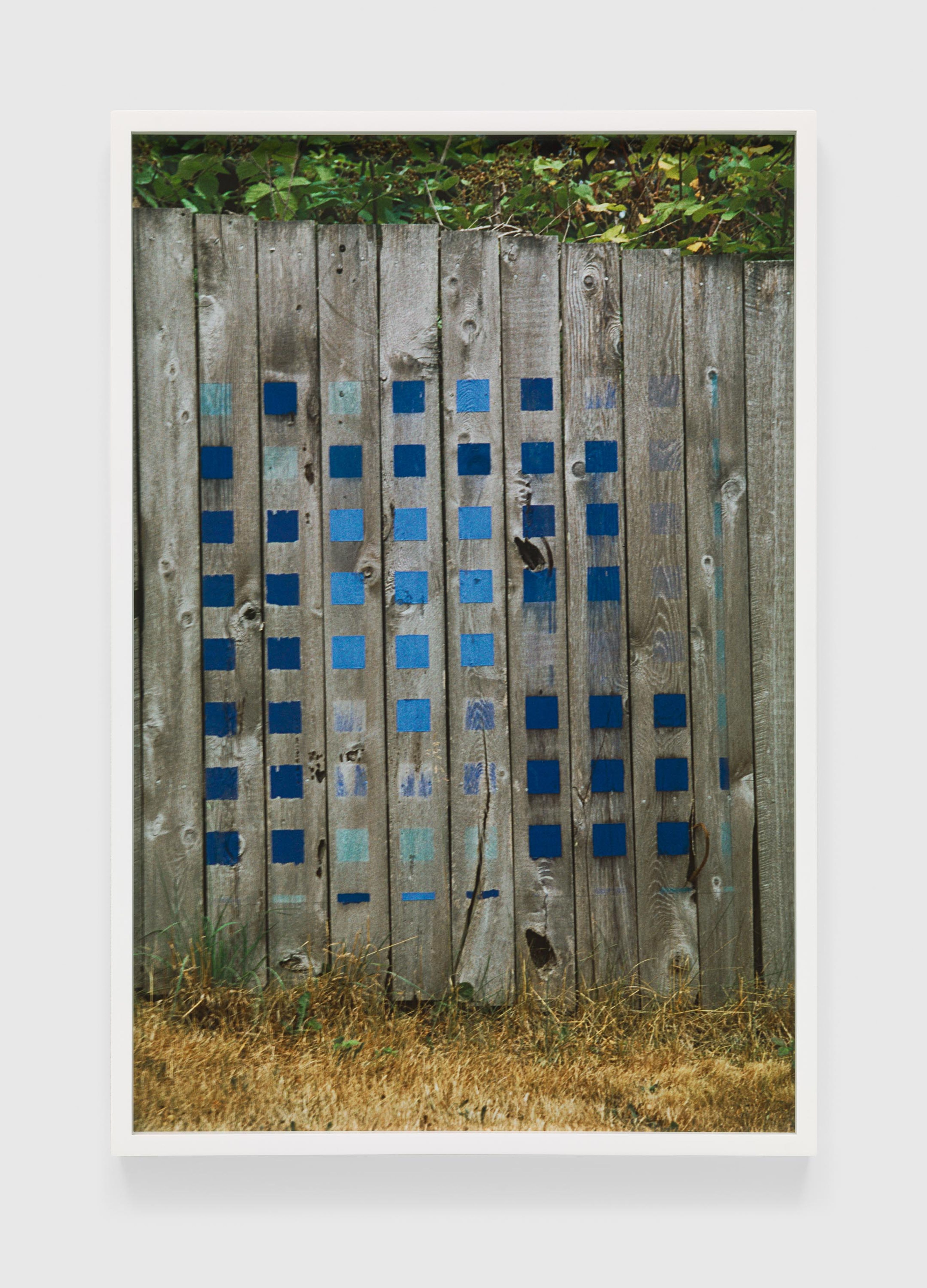 A photograph by Merrill Wagner, titled Blue, Summer Studio 1985-2003, dated 2017.