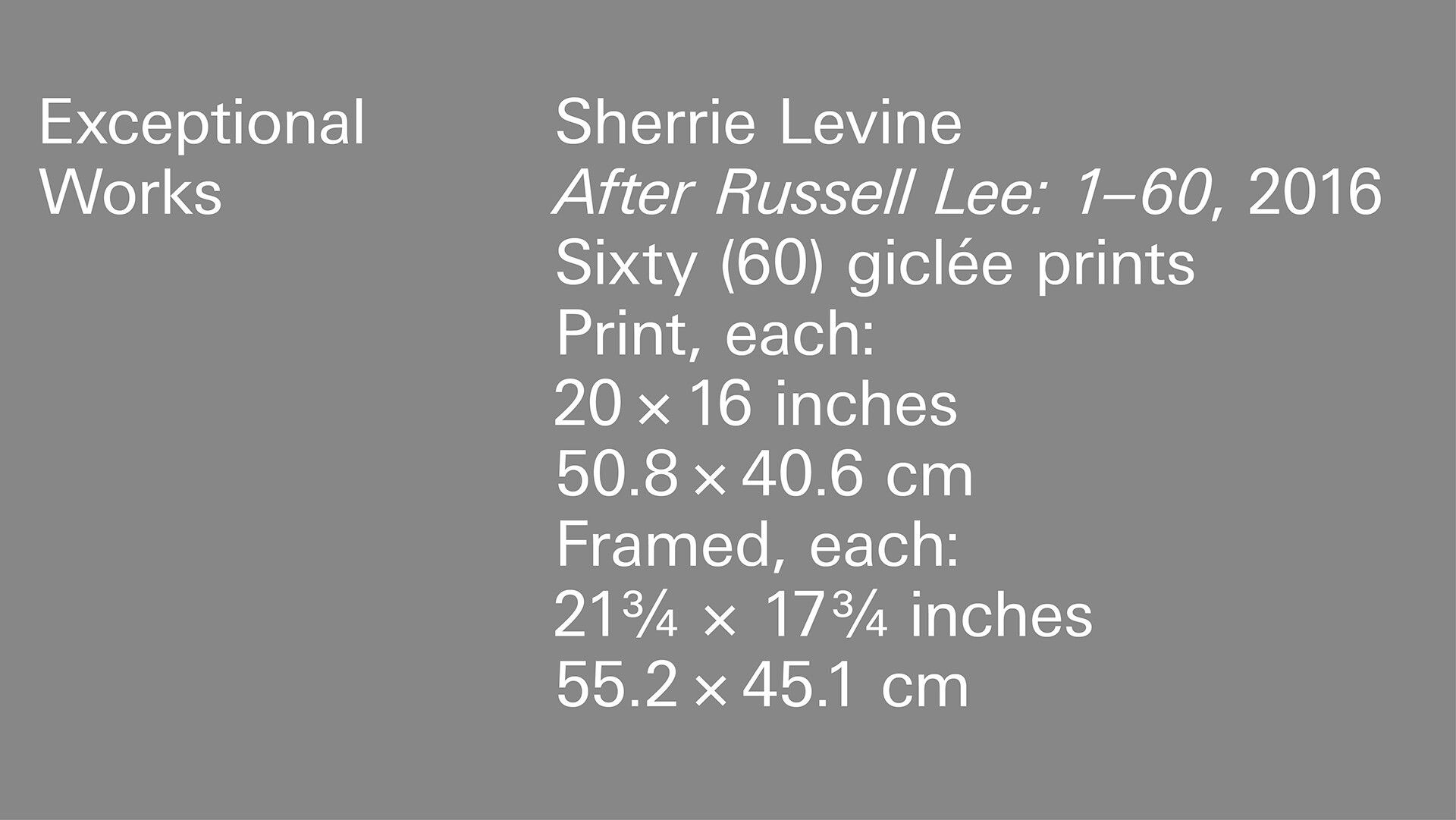 A title graphic for the Sherrie Levine Viewing Room, featuring the following caption information: Sherrie Levine After Russell Lee: 1-60, 2016 Sixty (60) giclée prints Print, each: 20 x 16 inches 50.8 x 40.6 cm Framed, each: 21 3/4 x 17 3/4 x 1 1/4 inches 55.2 x 45.1 x 3.2 cm.