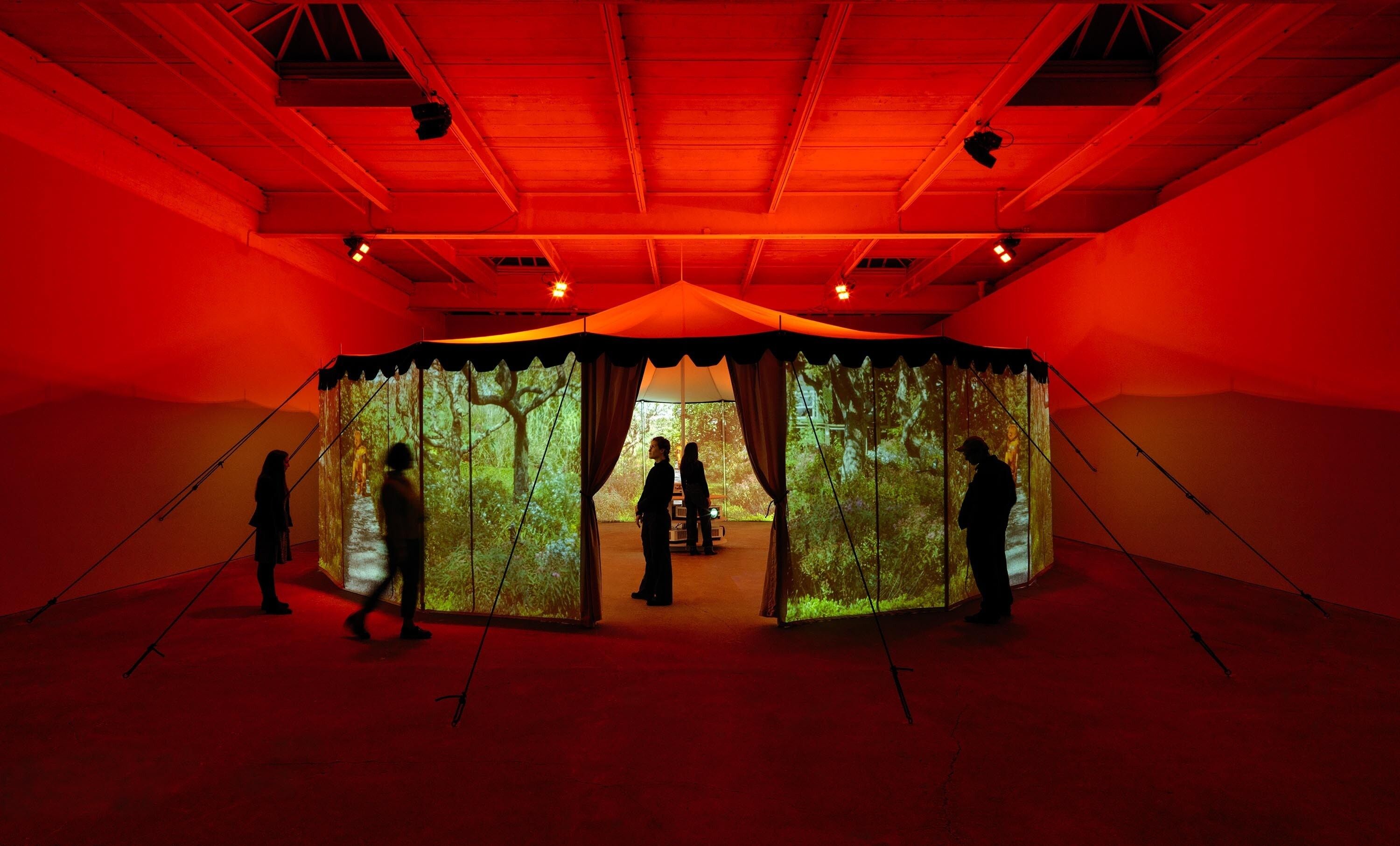 Installation view of the exhibition "Diana Thater: Practical Effects," at David Zwirner, New York, 2022