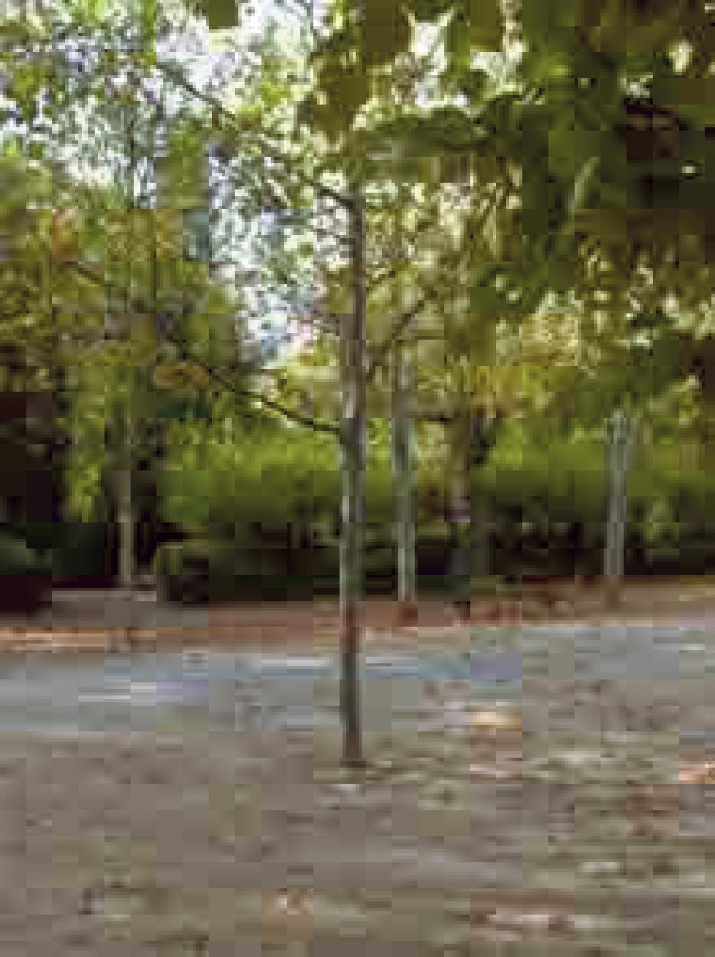 A photograph by Thomas Ruff, titled jpeg pp01, dated 2004.