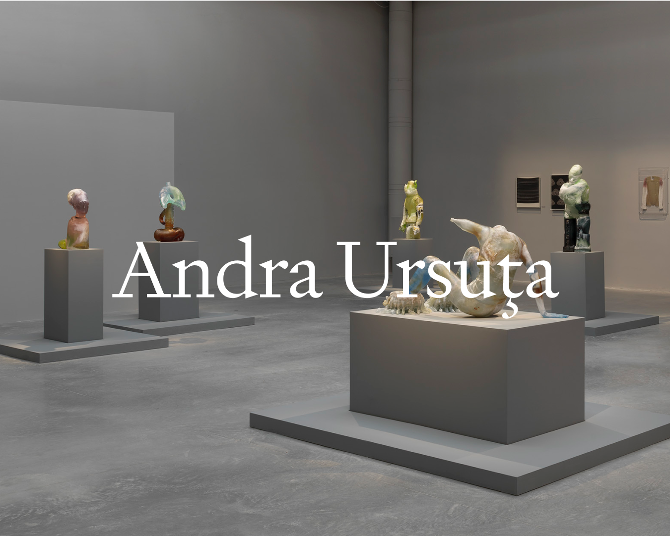 Image from Andra Ursuţa's exhibition at The Milk of Dreams that links to the subpage of The Milk of Dreams