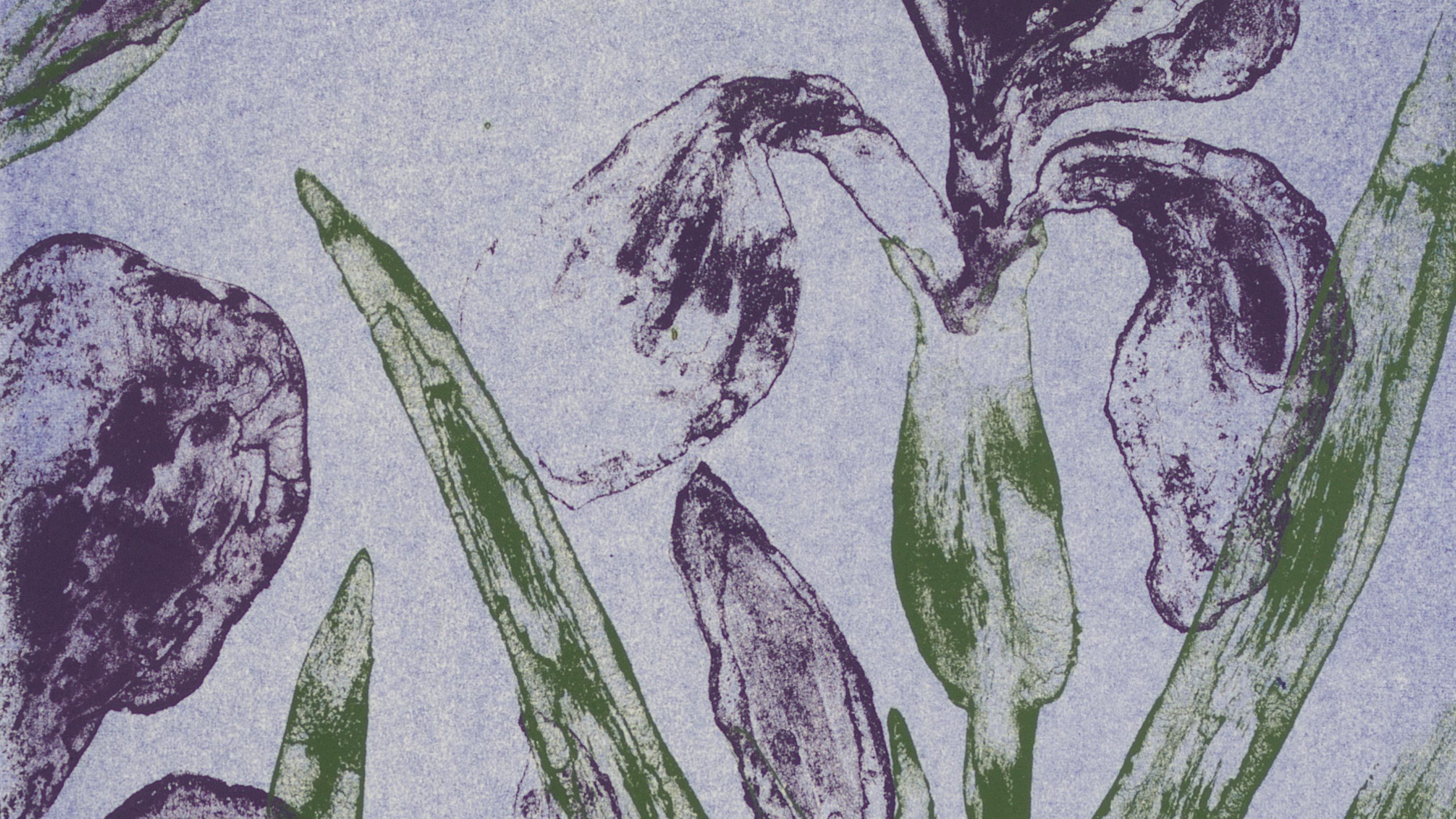 Detail of a Ruth Asawa print tittled "Poppy (TAM.1479)," dated 1965