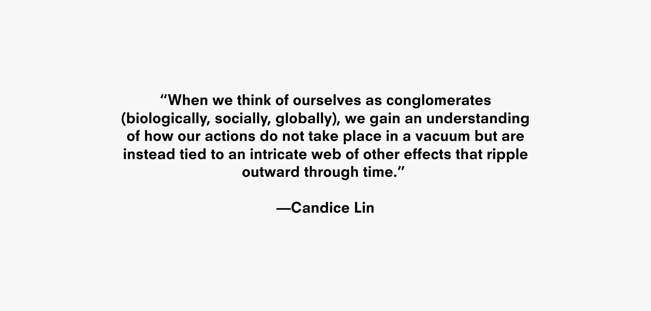 A text description that reads “When we think of ourselves as conglomerates (biologically, socially, globally), we gain an understanding of how our actions do not take place in a vacuum but are instead tied to an intricate web of other effects that ripple outward through time.” ––Candice Lin