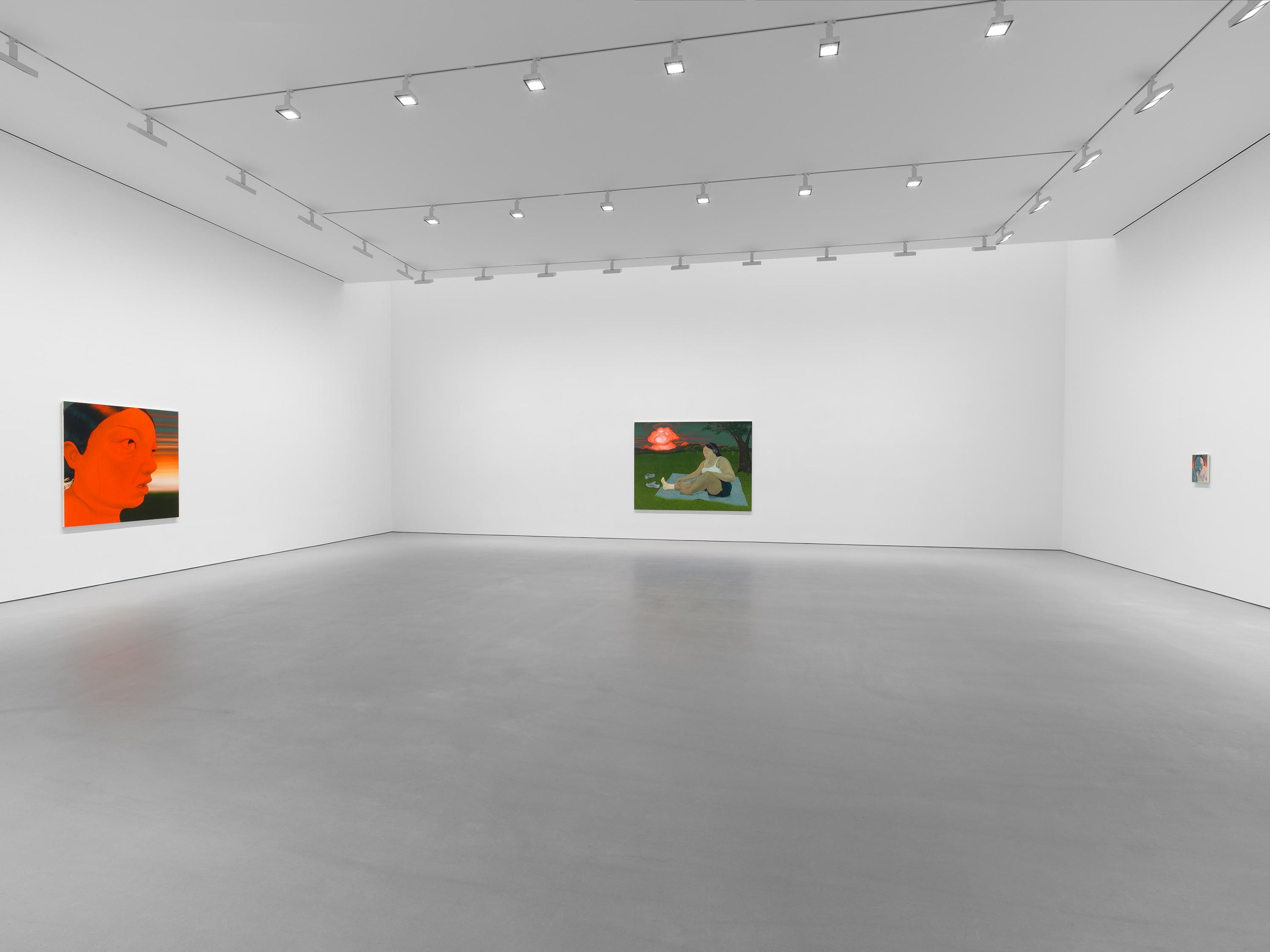 An installation view of the exhibtion, Sasha Gordon: Haze, at David Zwirner in New York, dated 2025.