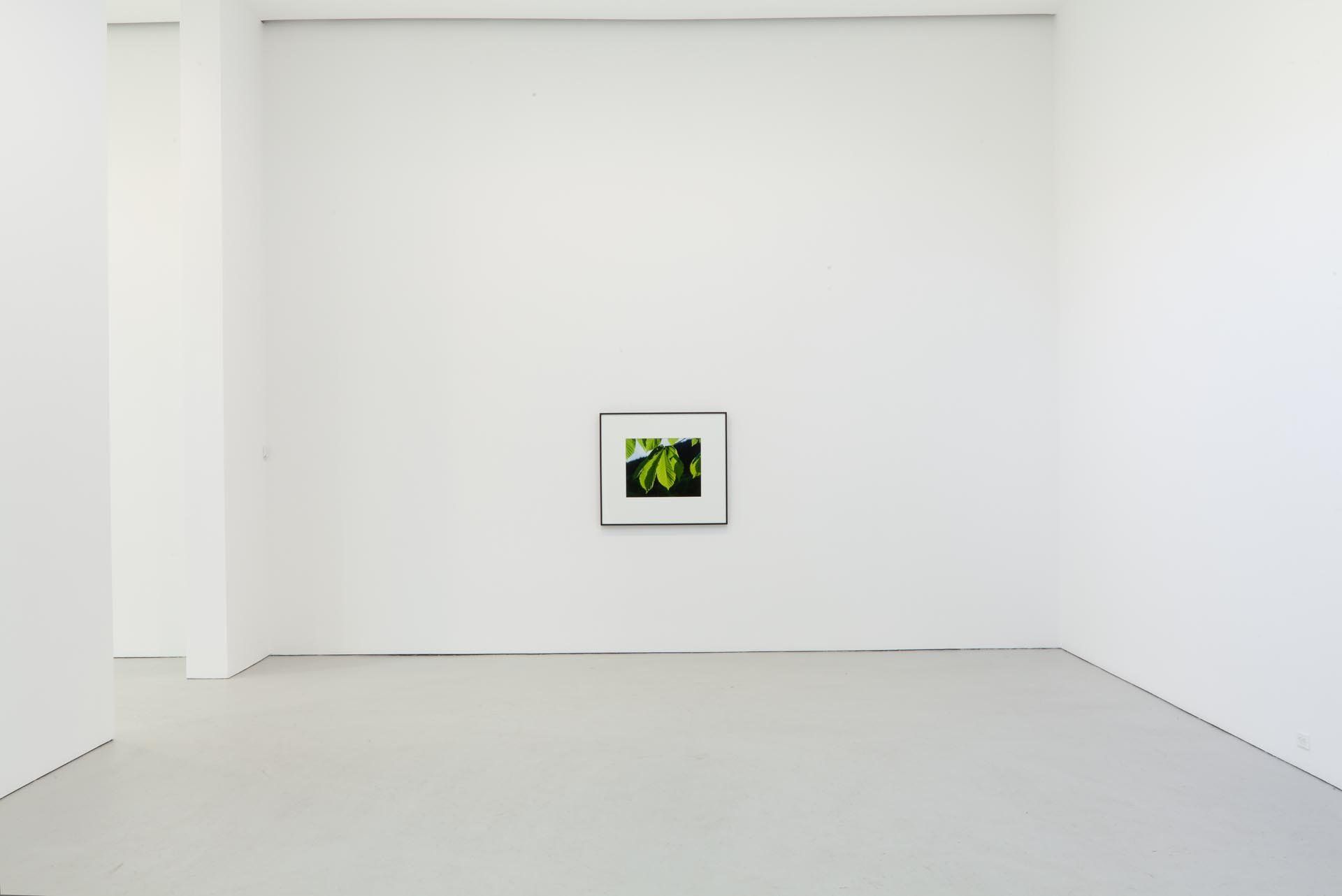 Installation view of the exhibition Christopher Williams For Example: Dix-Huit Leçons Sur La Société Industrielle (Revision 12), at David Zwirner in New York, dated 2011.