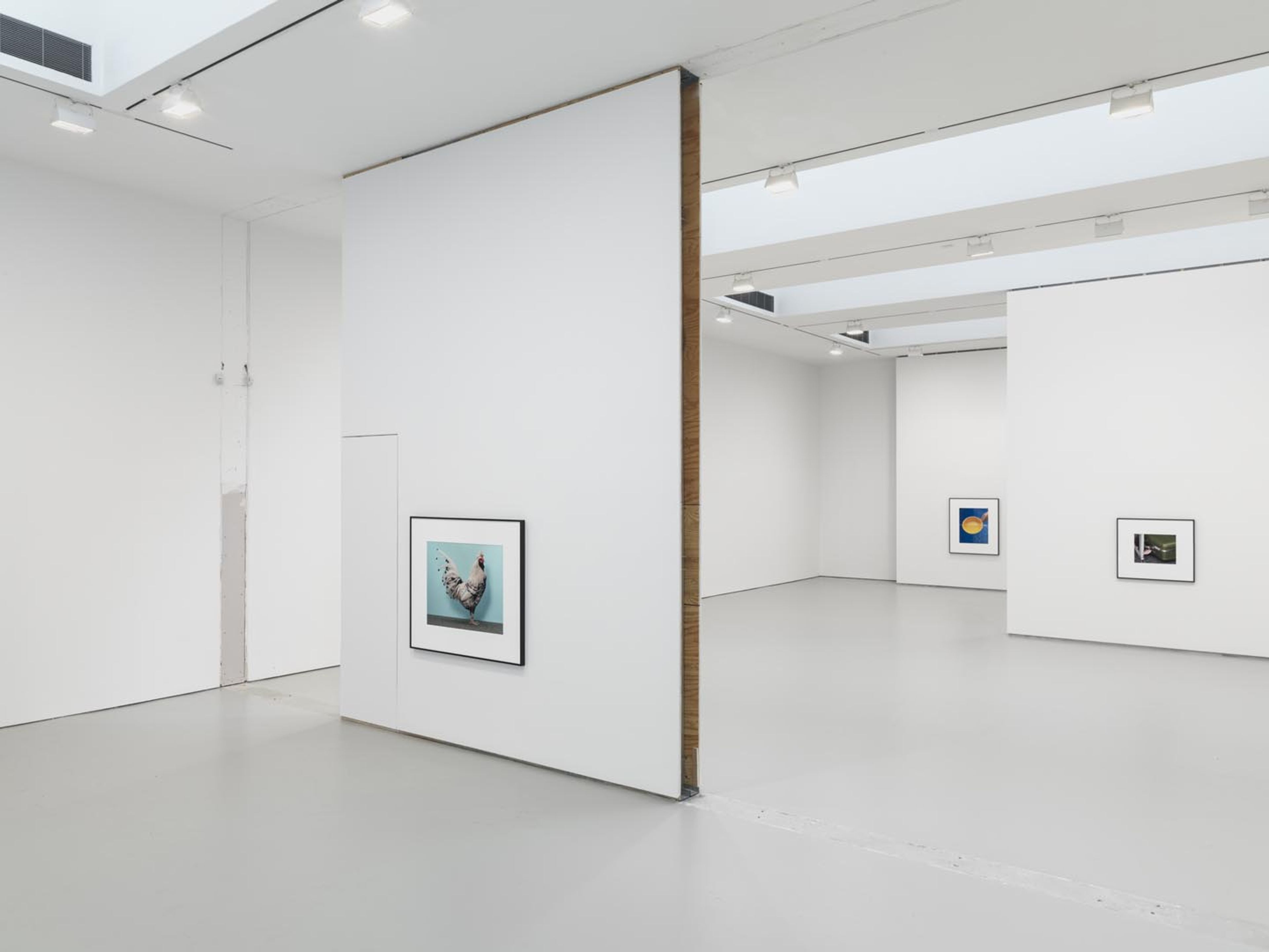 An installation view of the exhibition Christopher Williams: For Example: Dix-Huit Leçons Sur La Société Industrielle (Revision 19), at David Zwirner New York, dated 2014.