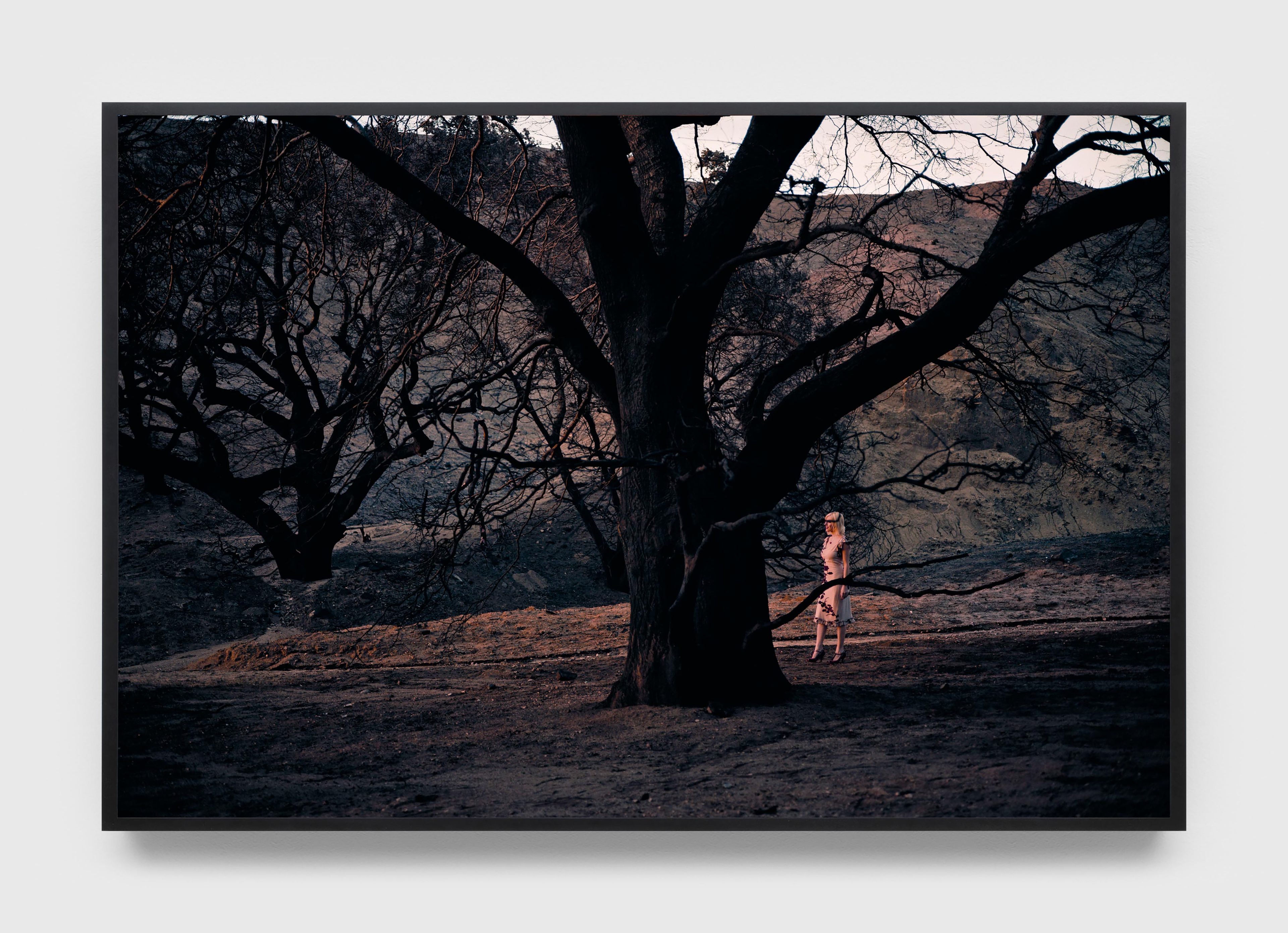 A photograph by Philip-Lorca diCorcia, titled Lacy, dated 2008.