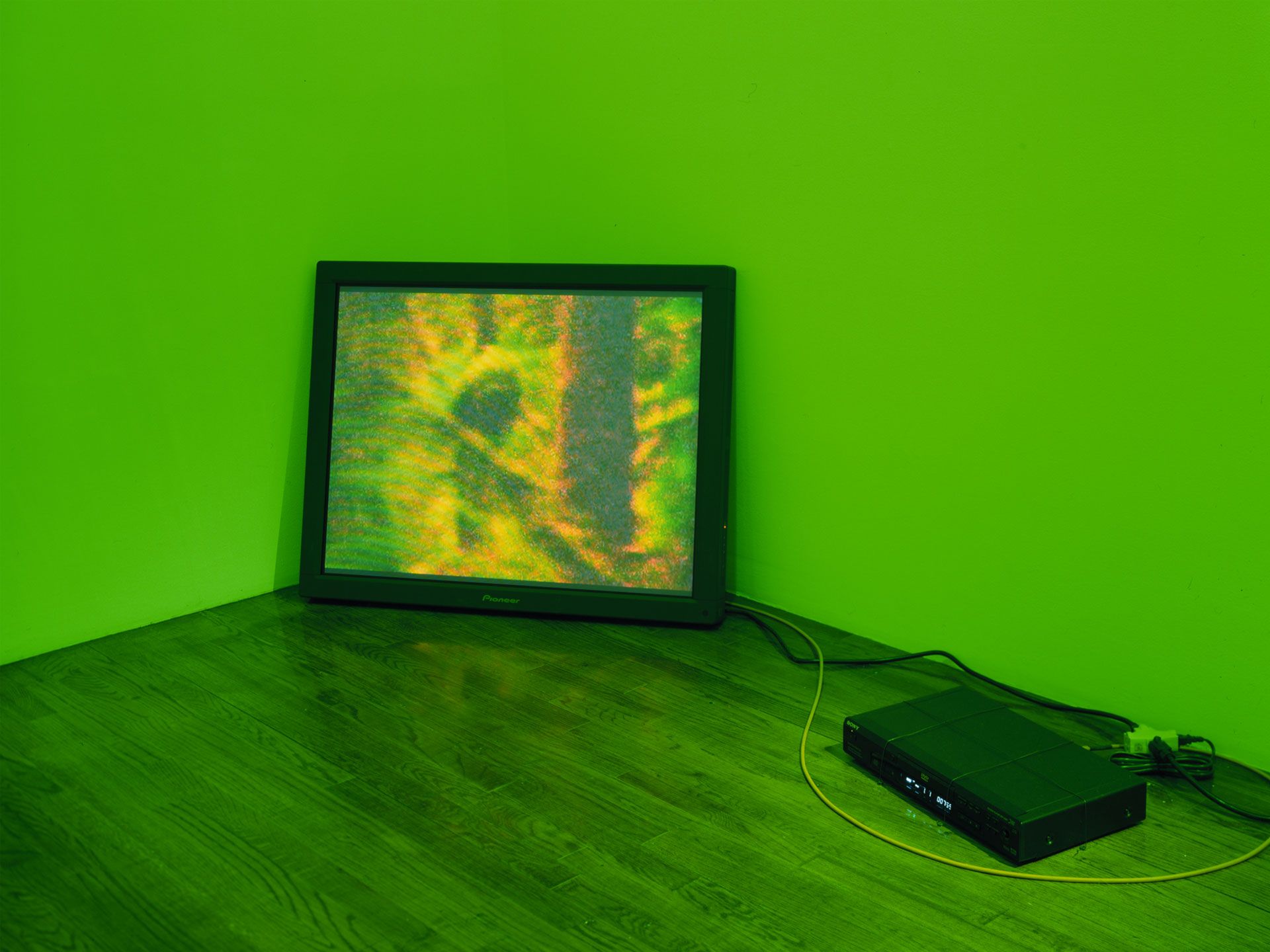 A video by Diana Thater, titled Moss Green Room, dated 2001.
