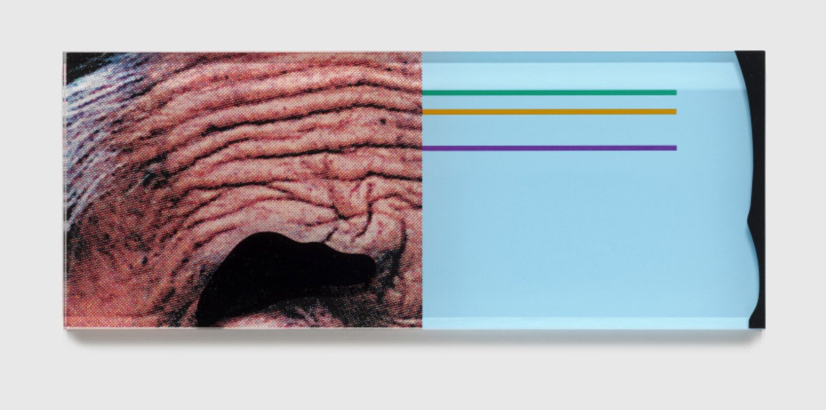 A nine-color screenprint on plexiglass by John Baldessari, titled Raised Eyebrows / Furrowed Foreheads: Crooked Made Straight, dated 2009.