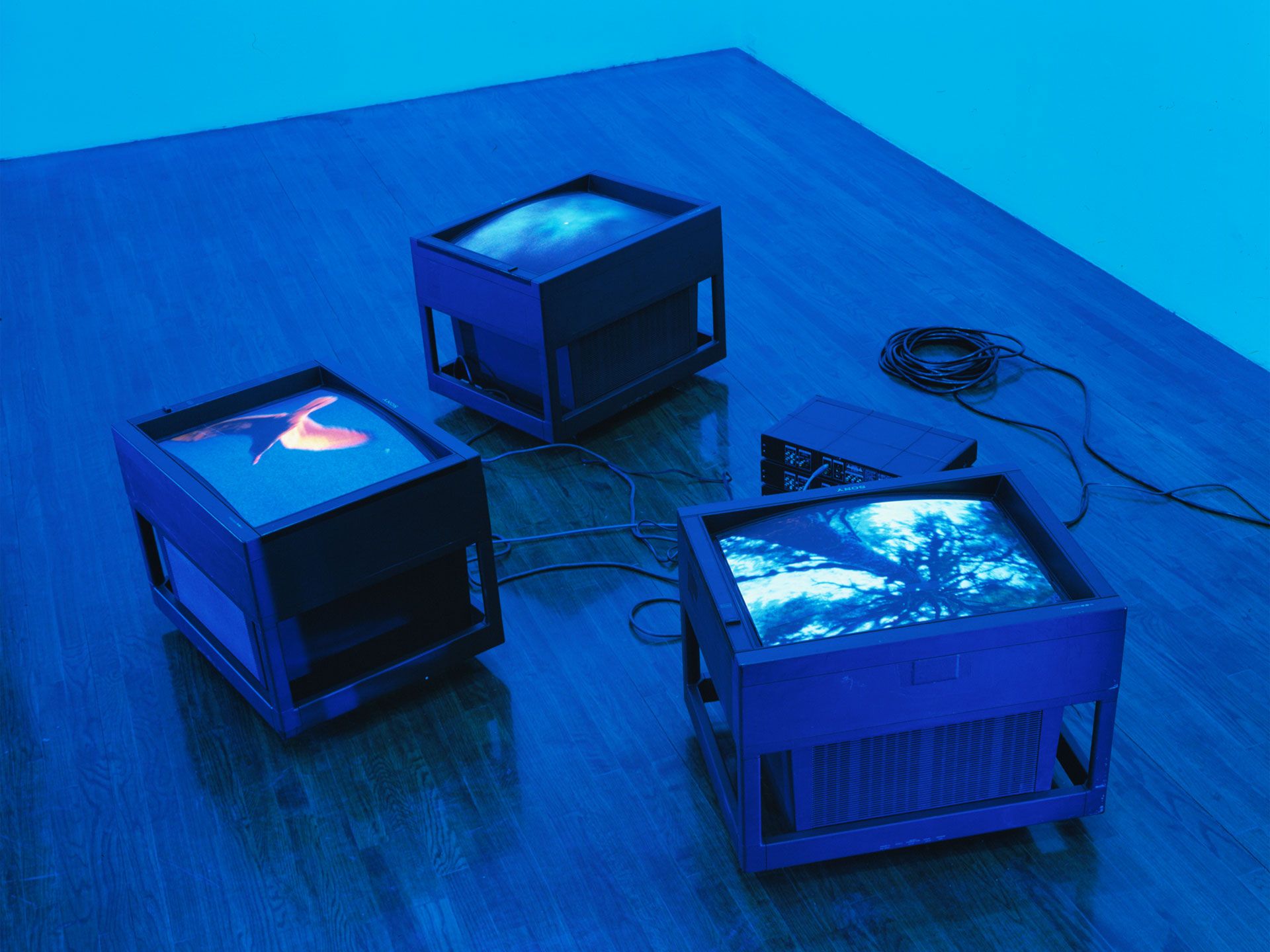 A video by Diana Thater, titled Moonlight Blue Room, dated 2001.